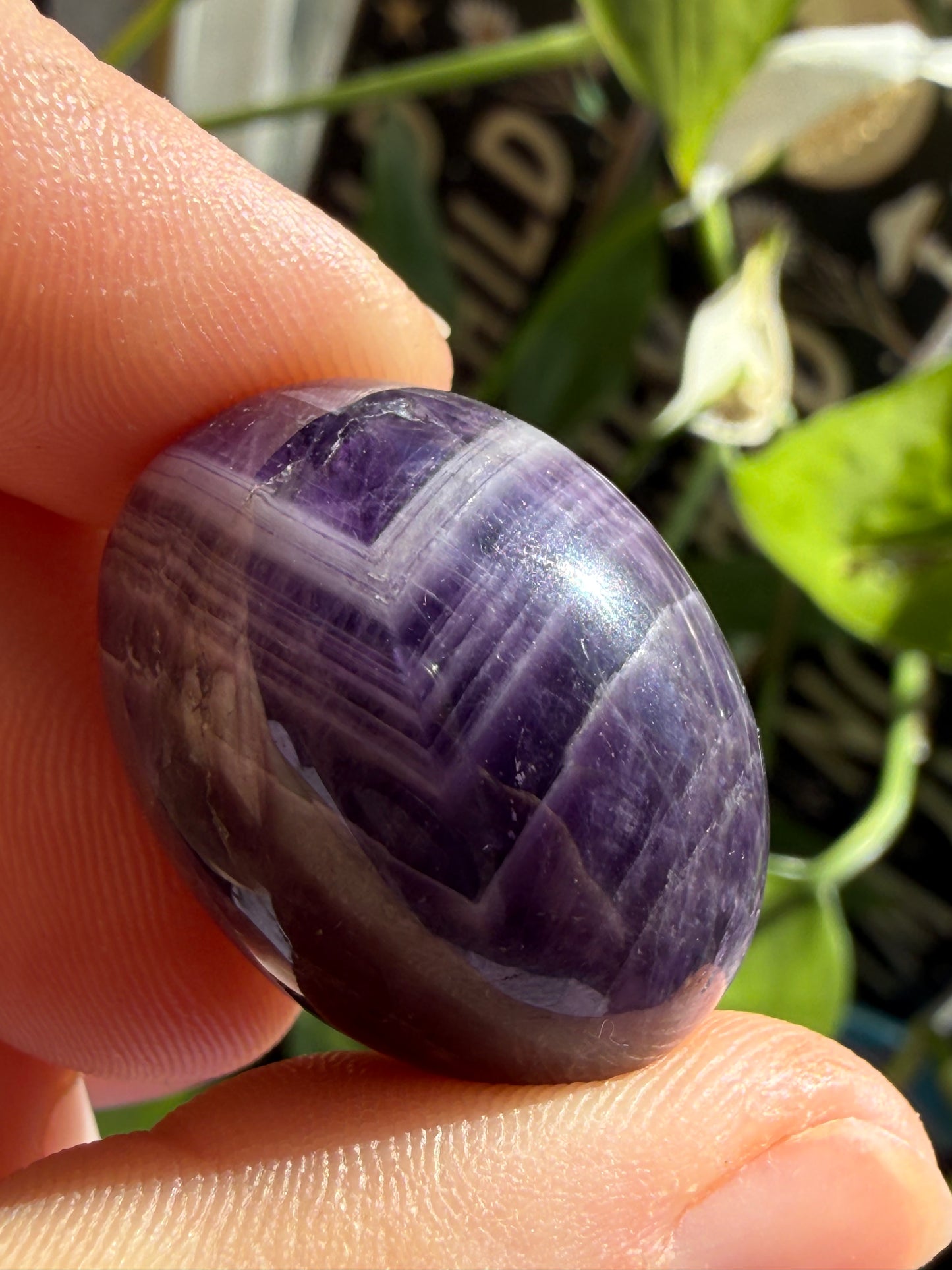 Amethyst Tumbles | Calm, Clarity & Spiritual Protection