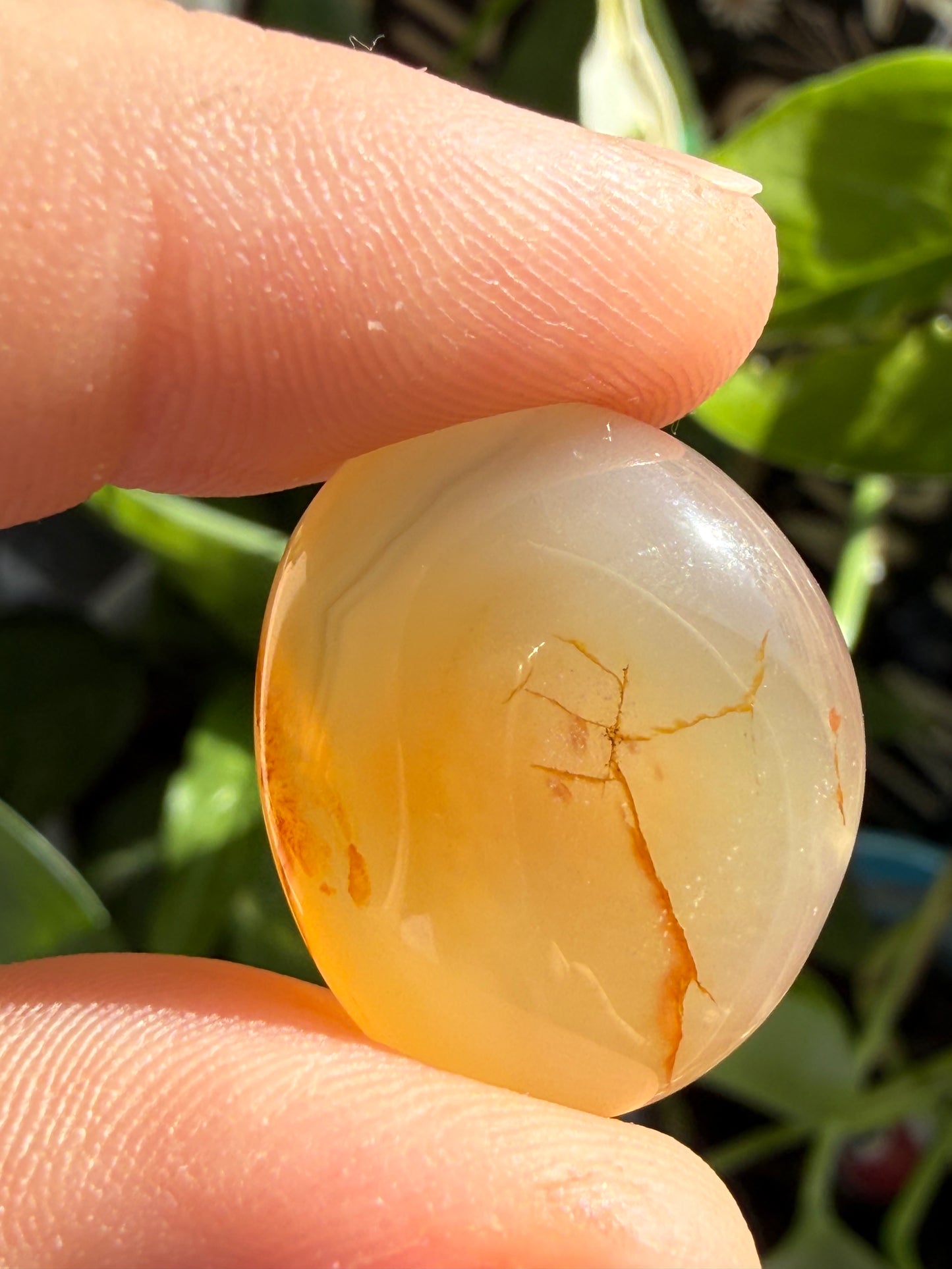 Carnelian Tumbles | Confidence, Creativity & Vital Energy