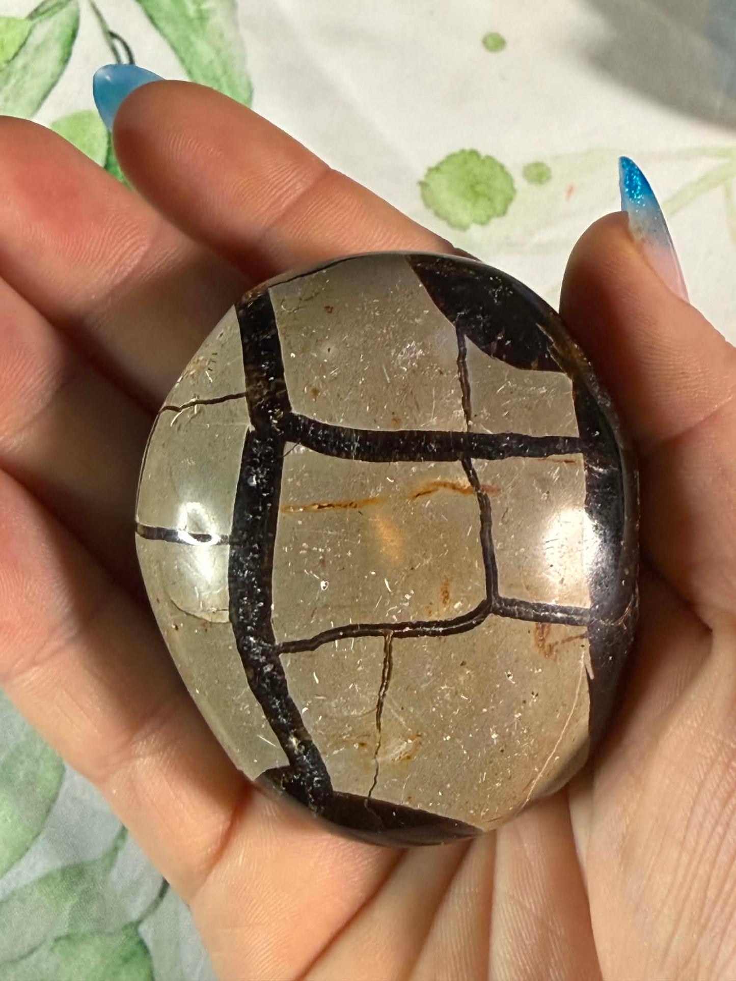 Druzy Septarian Egg Medium– Grounding • Strength