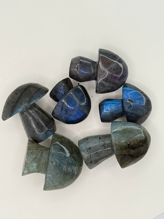 Small Labradorite Mushroom – Iridescent Crystal Carving for Transformation, Protection & Intuition