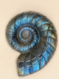 Labradorite Conch Shell Carving- Iridescent Crystal Carving for Transformation, Protection & Intuition
