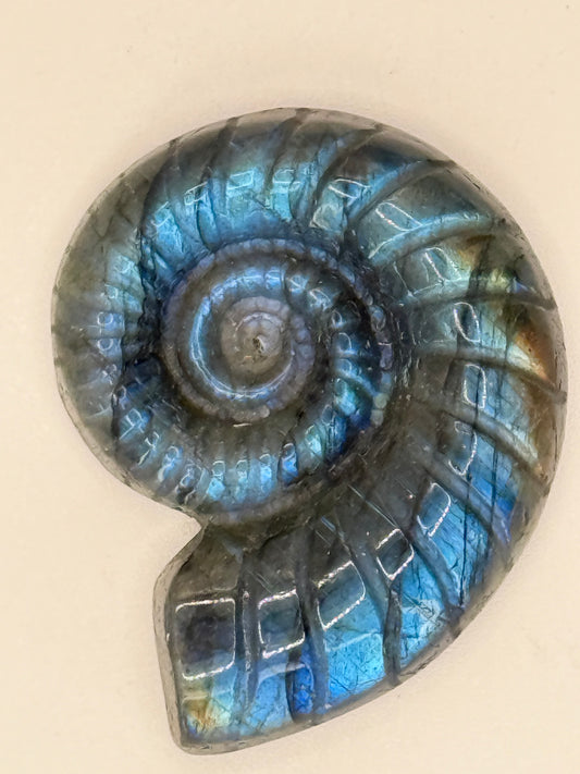 Labradorite Shell Carving- Iridescent Crystal Carving for Transformation, Protection & Intuition