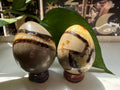 Polished Septarian Dragon Egg – Crystal for Grounding, Strength, and Ancient Earth Energy