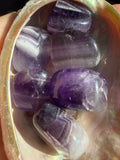 Amethyst Tumble Stone | Polished Mini Crystal | Pocket Stone for Healing