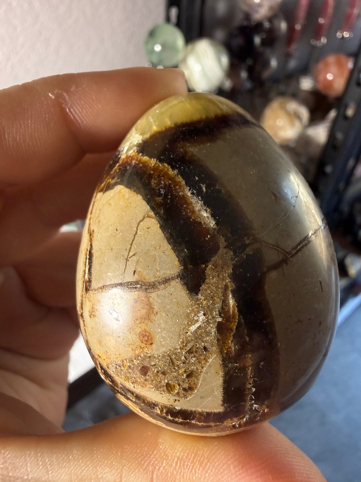 Polished Septarian Egg – Grounding • Strength