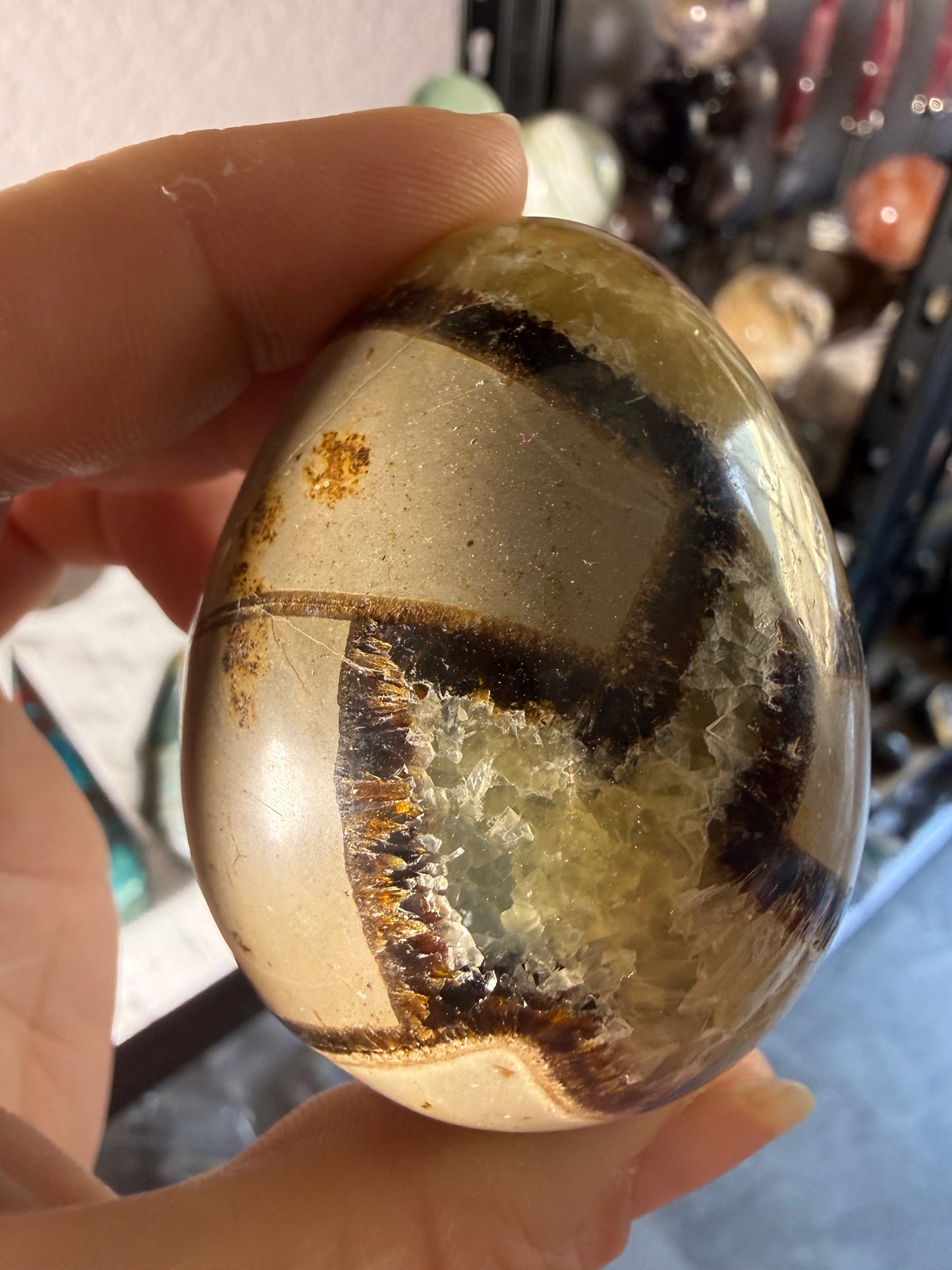 Polished Septarian Egg – Grounding • Strength