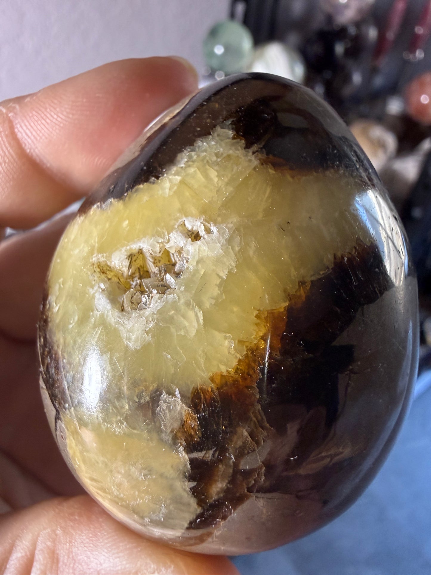Polished Septarian Egg – Grounding • Strength