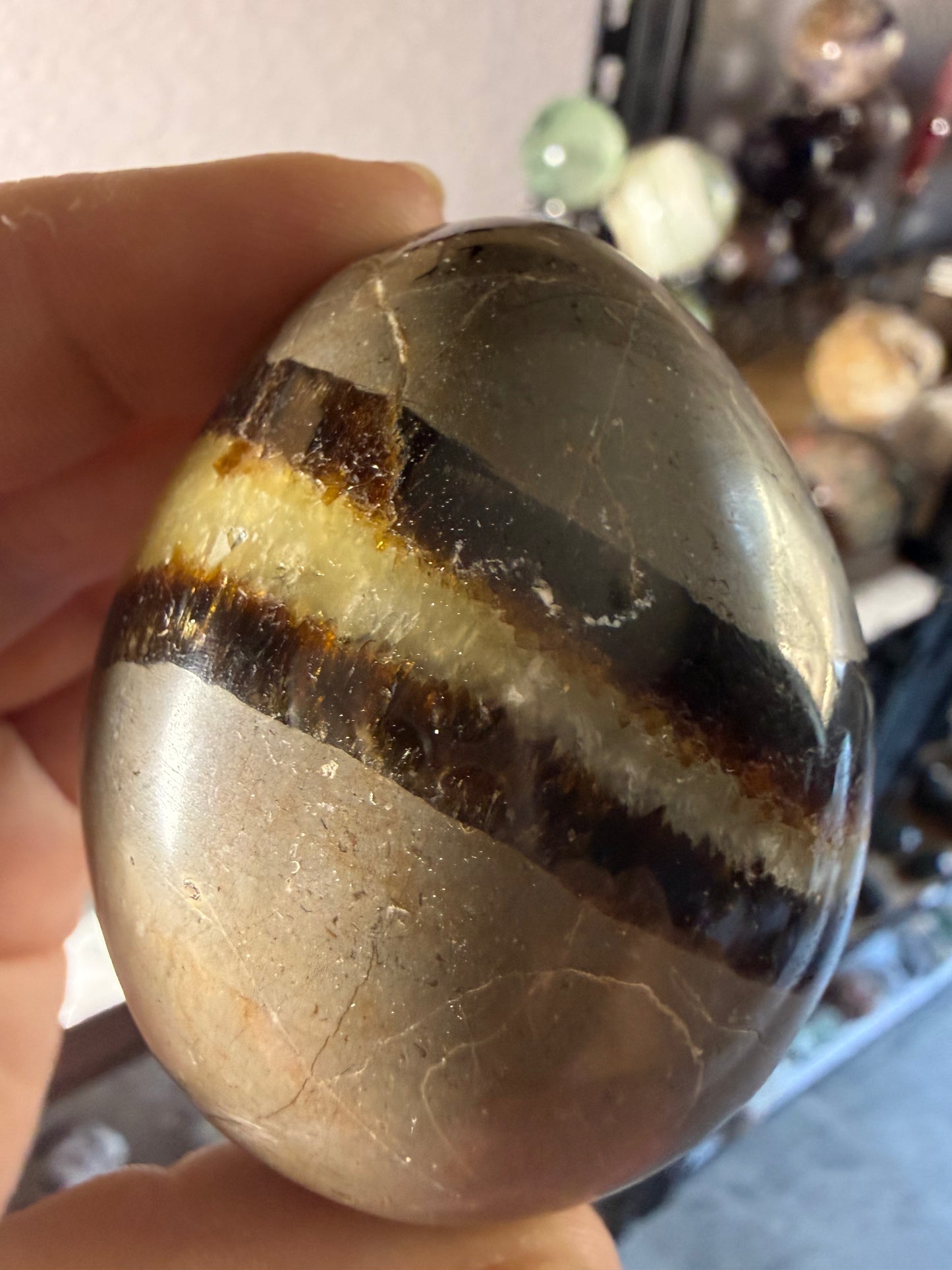 Polished Septarian Egg – Grounding • Strength