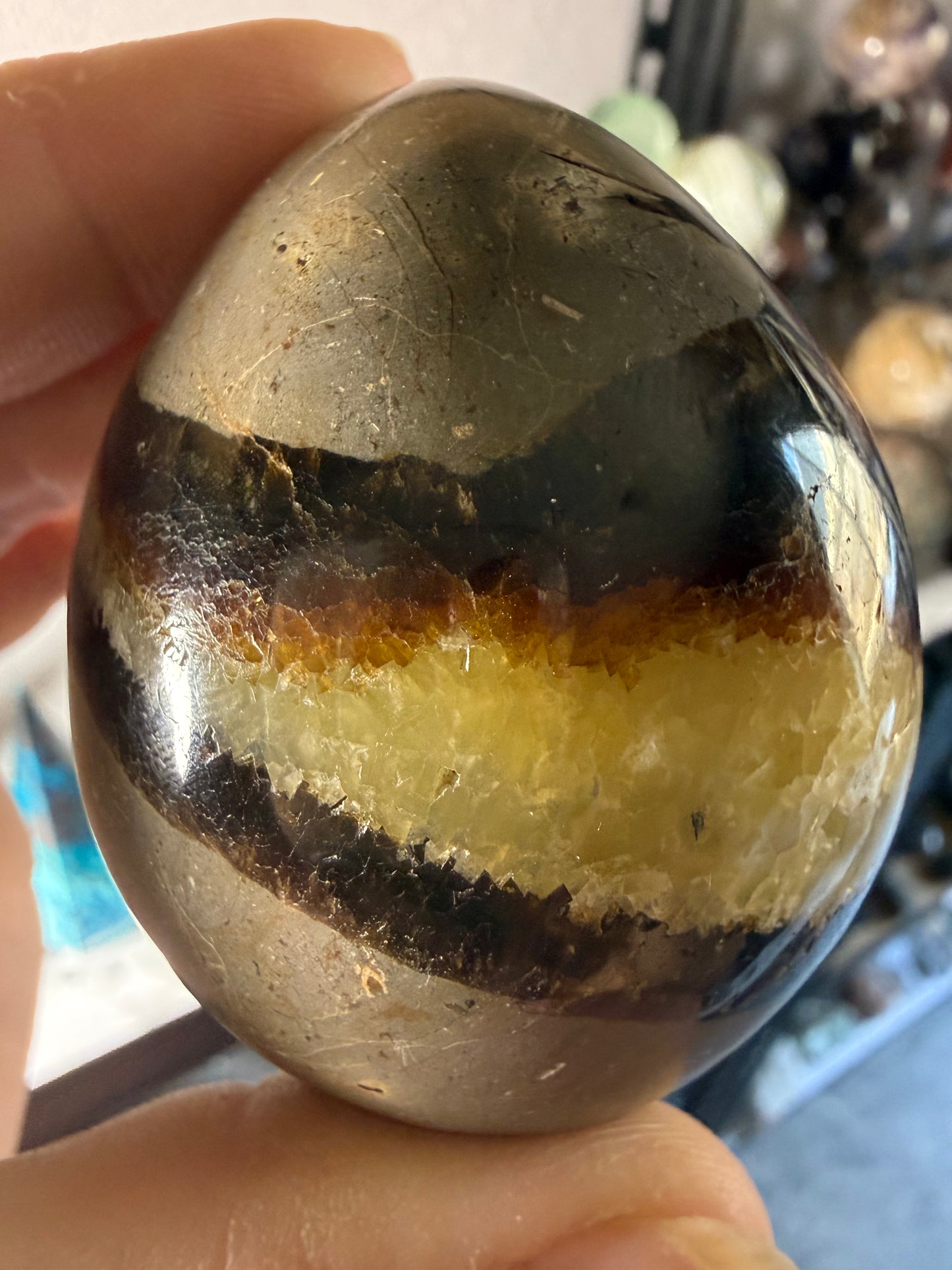 Polished Septarian Egg – Grounding • Strength