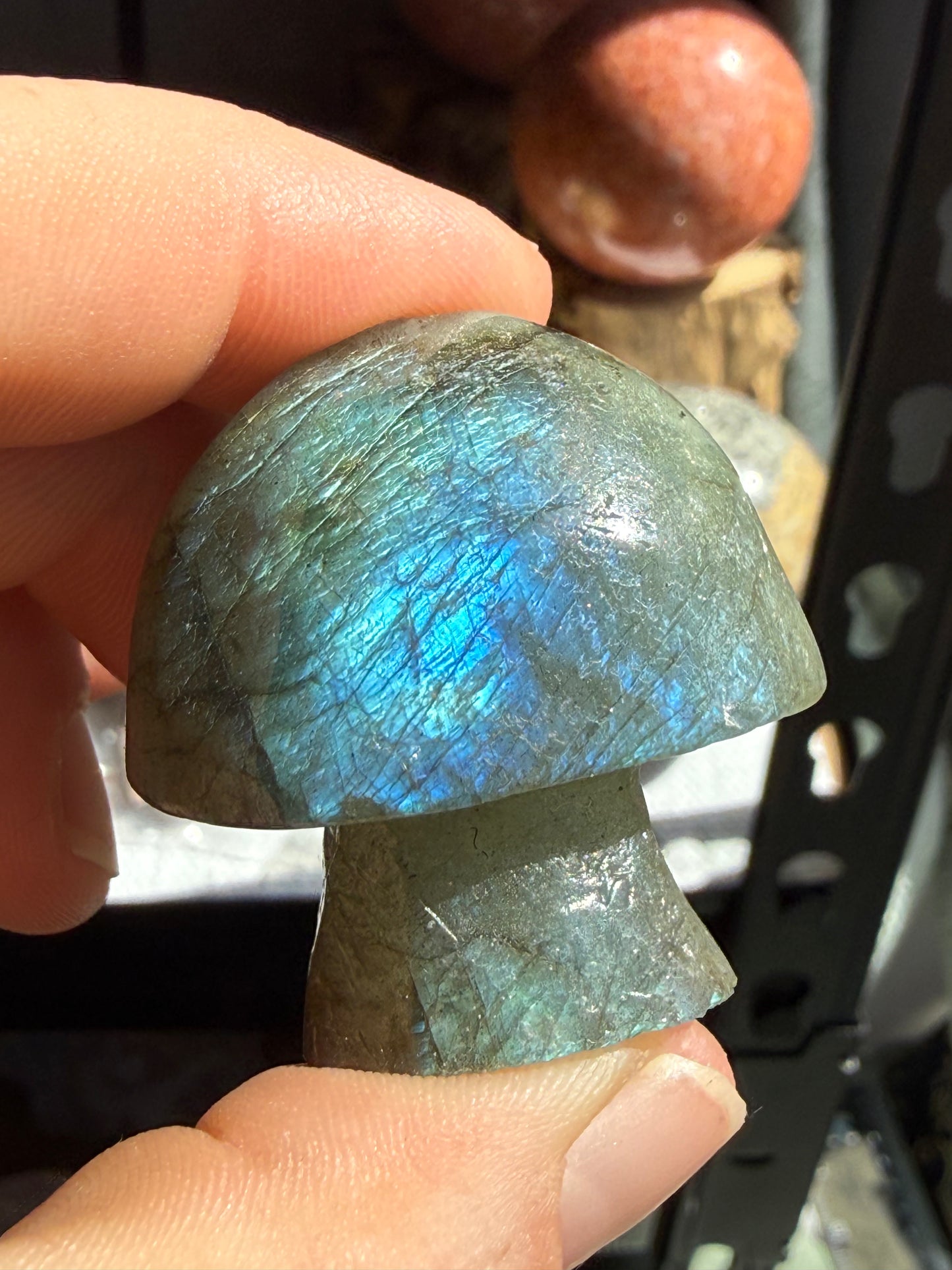 Small Labradorite Mushroom – Protection, Intuition & Transformation