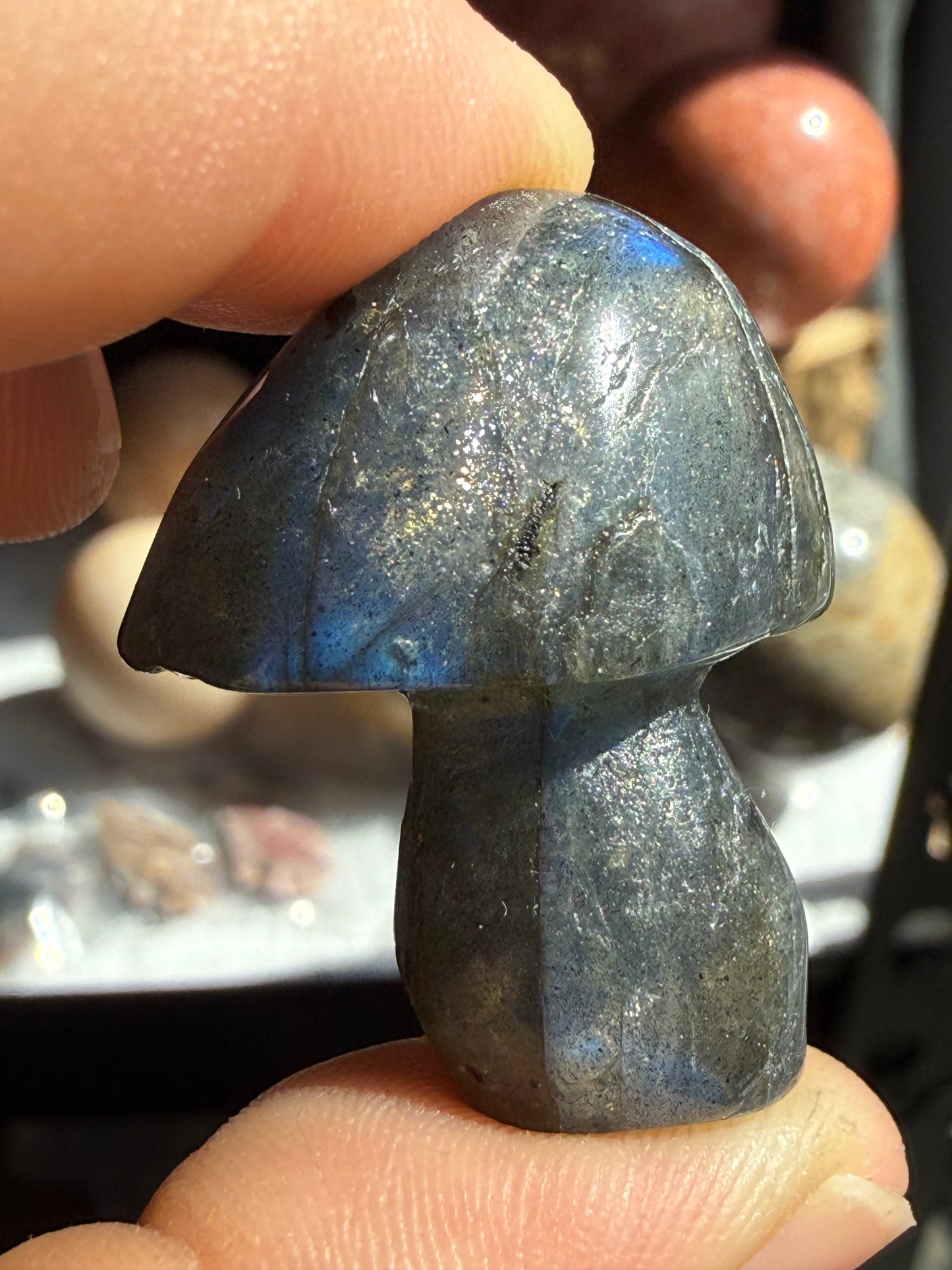 Small Labradorite Mushroom – Protection, Intuition & Transformation