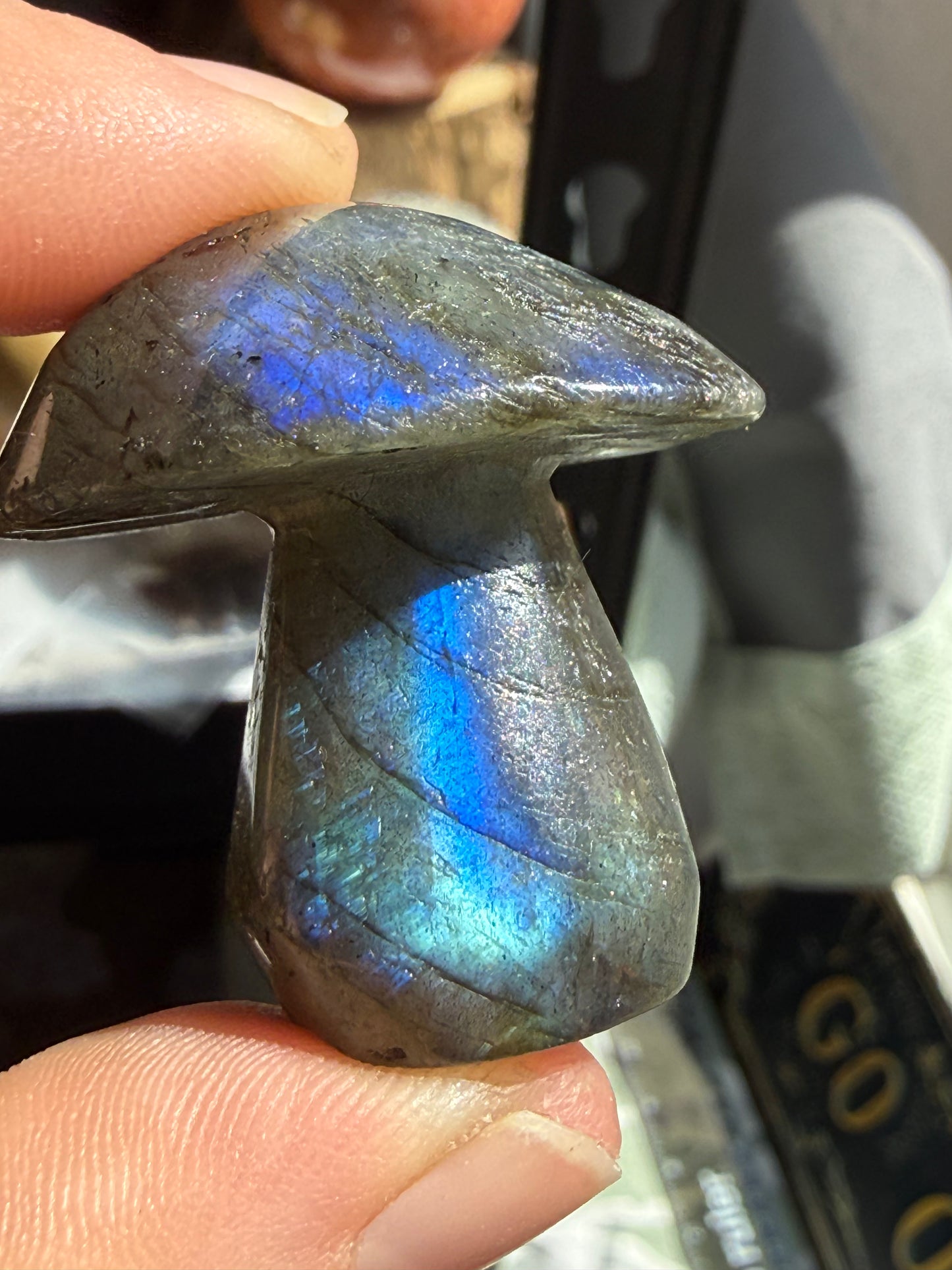 Small Labradorite Mushroom – Protection, Intuition & Transformation