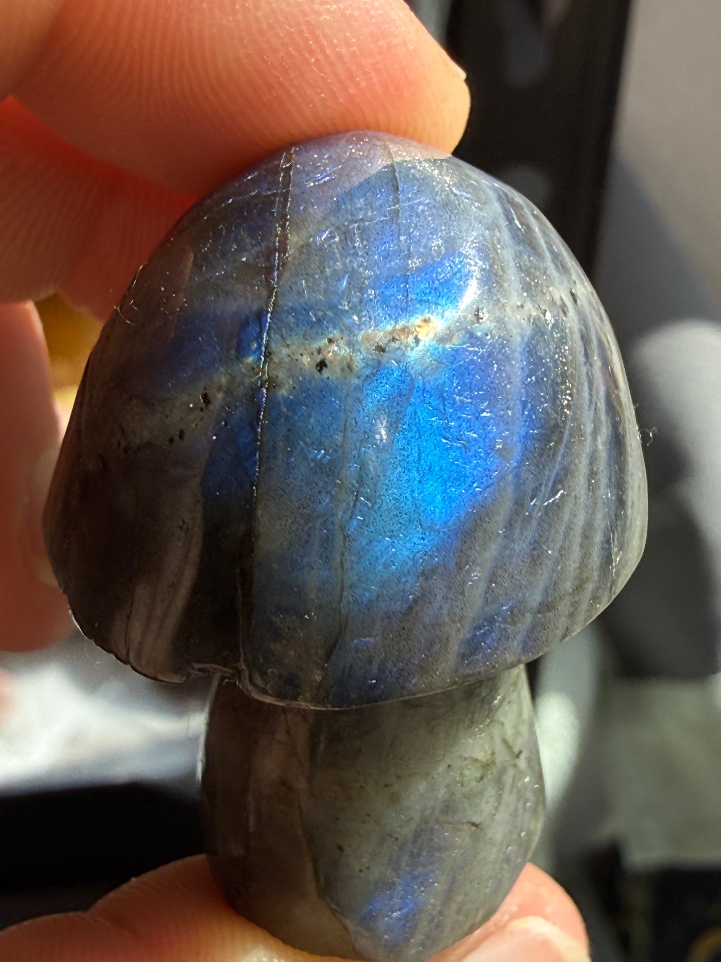 Small Labradorite Mushroom – Protection, Intuition & Transformation