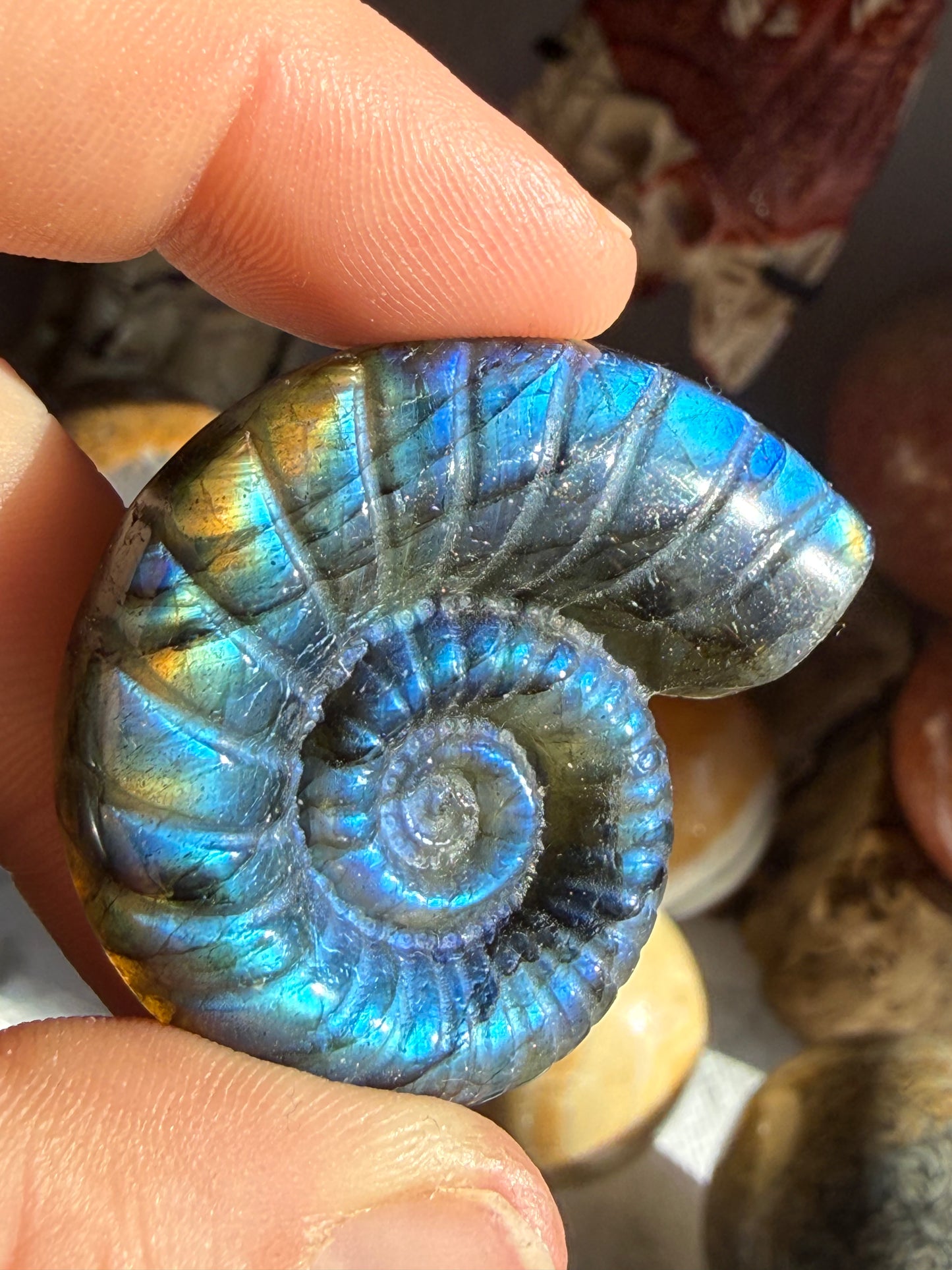 Labradorite Shell Carving- Protection, Intuition & Transformation