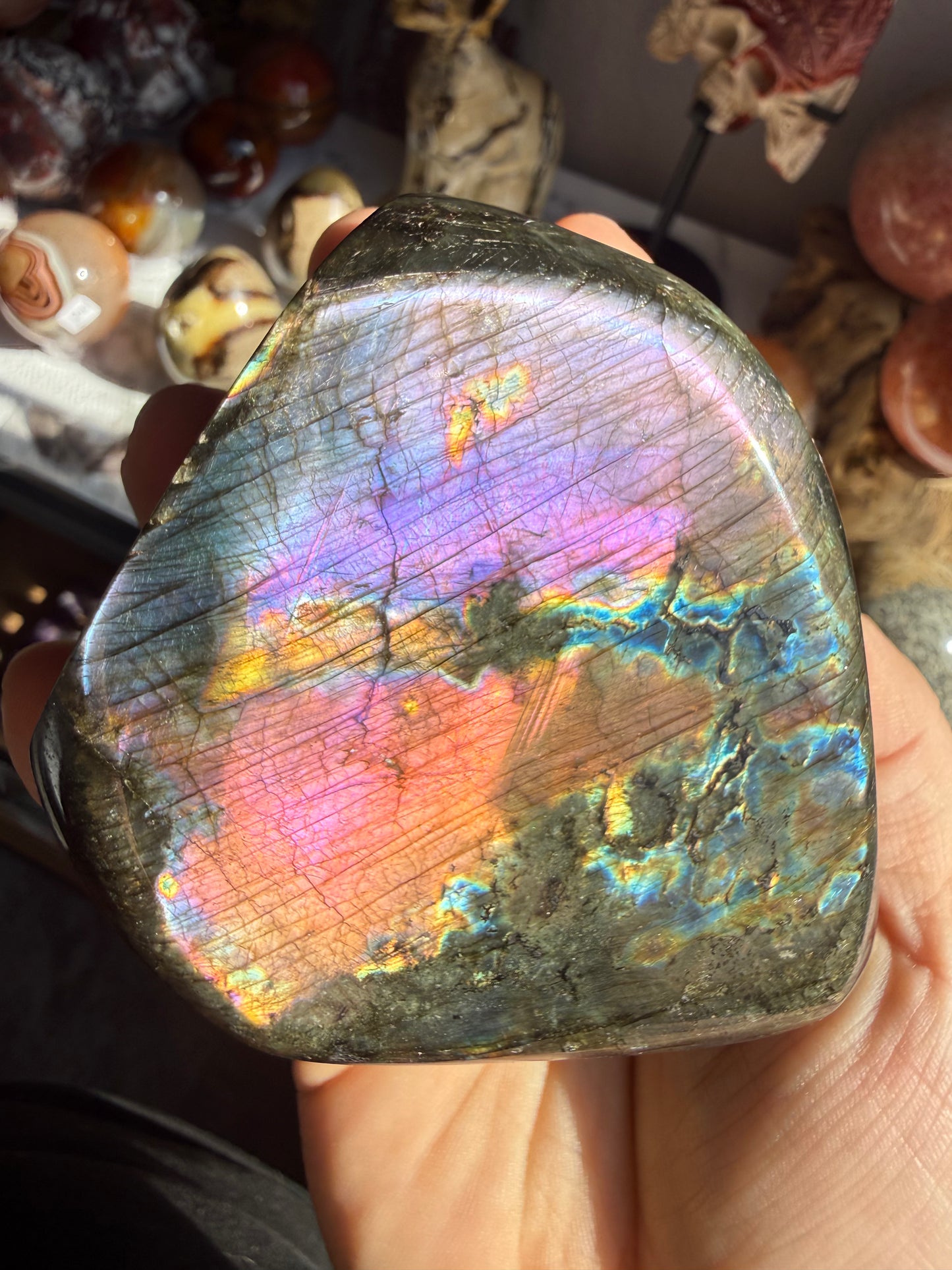 Labradorite – XL- 1lb+ Protection, Intuition & Transformation