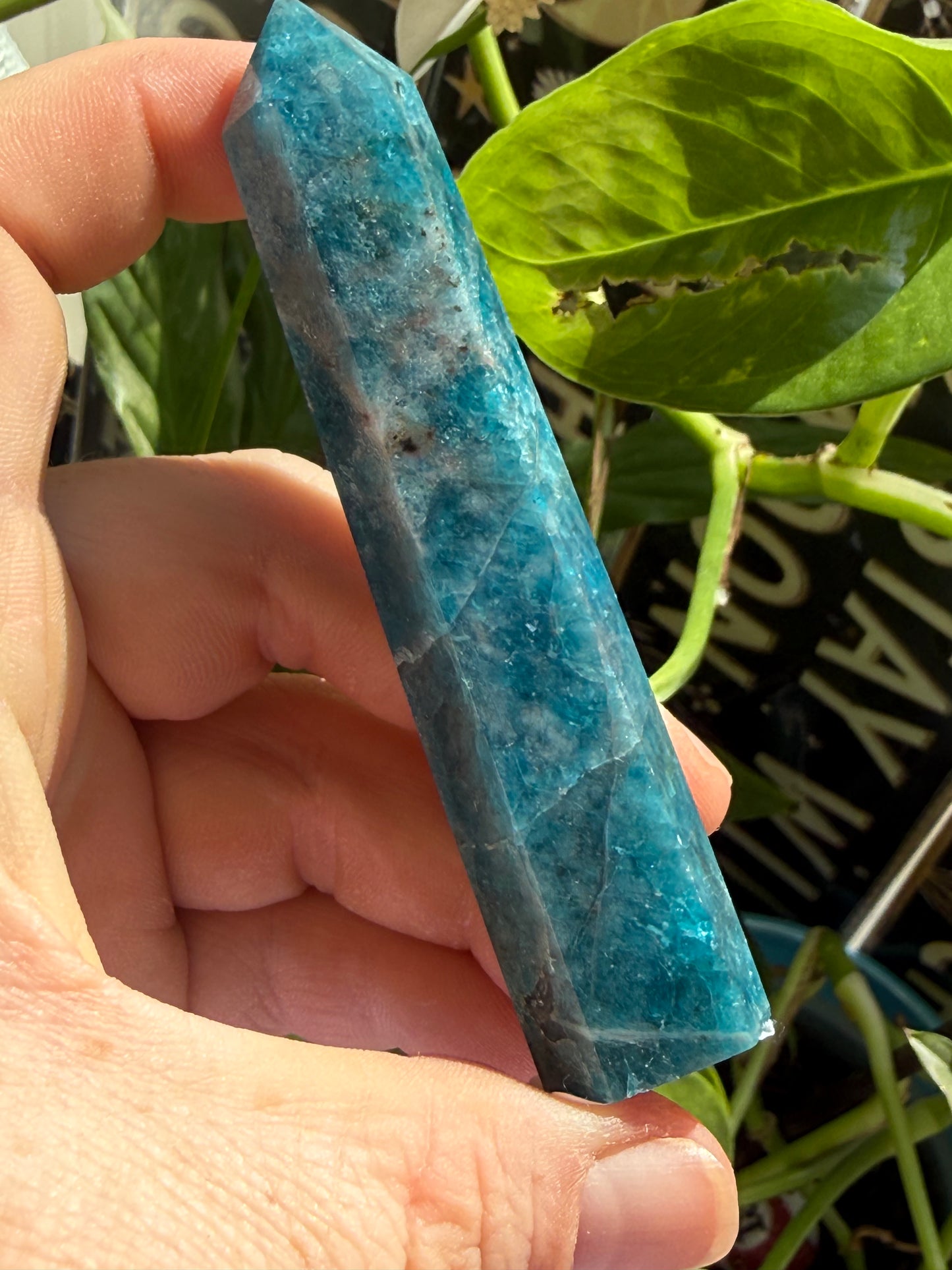 Blue Apatite Tower 2 oz – Polished Crystal Point for Motivation, Clarity & Manifestation