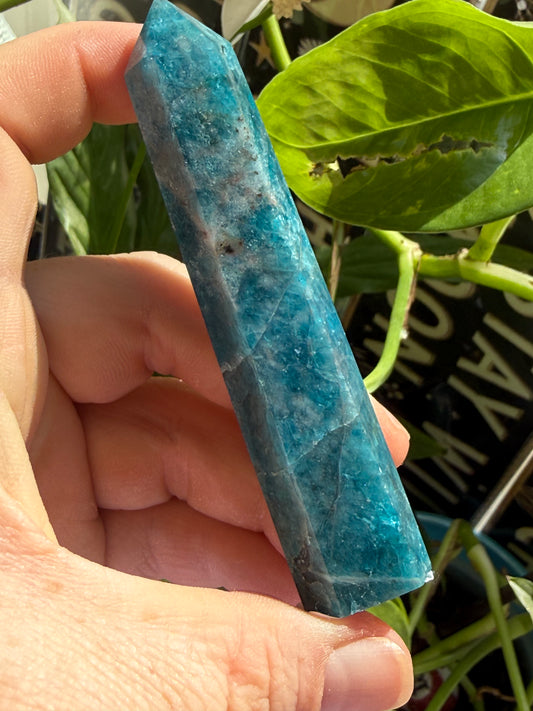 Blue Apatite Tower 2 oz – Polished Crystal Point for Motivation, Clarity & Manifestation