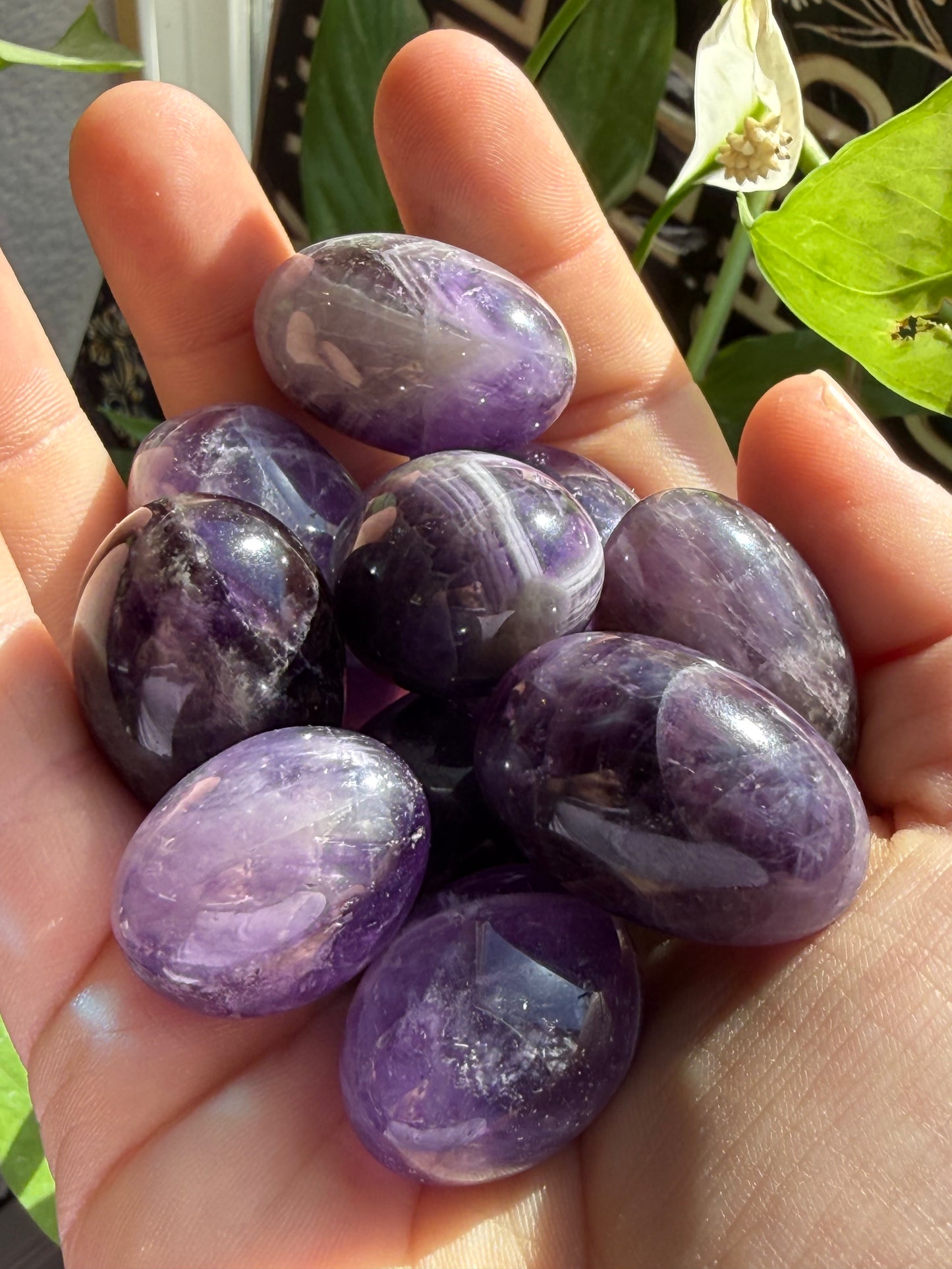 Amethyst Tumbles | Calm, Clarity & Spiritual Protection