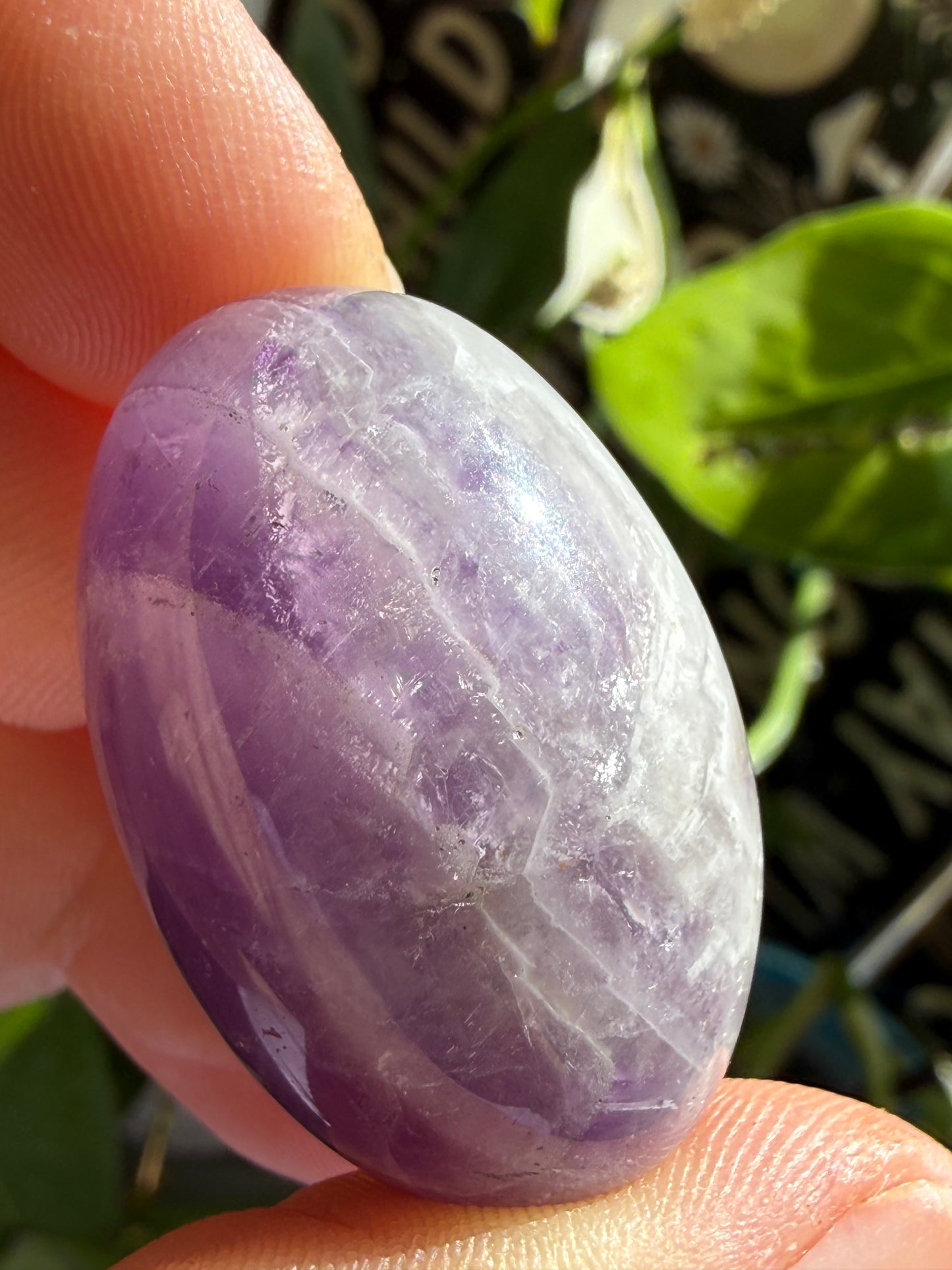 Amethyst Tumbles | Calm, Clarity & Spiritual Protection