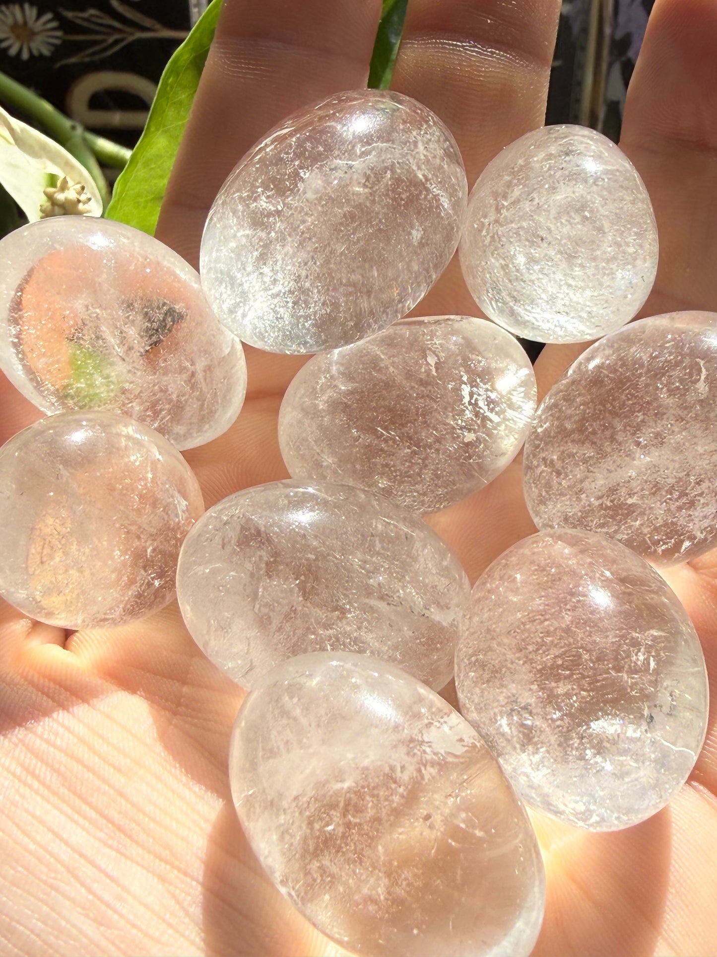Clear Quartz Tumbles | Amplification, Clarity & Pure Energy