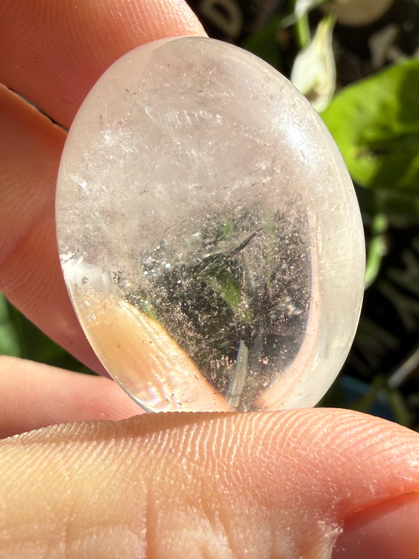 Clear Quartz Tumbles | Amplification, Clarity & Pure Energy