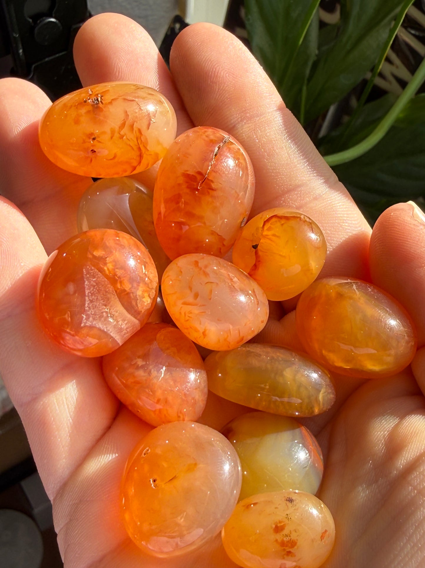 Carnelian Tumbles | Confidence, Creativity & Vital Energy