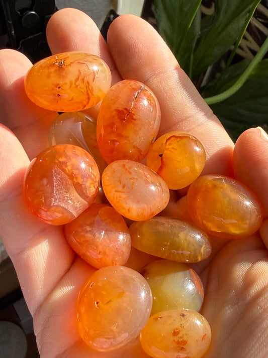 Carnelian Tumbles | Confidence • Creativity