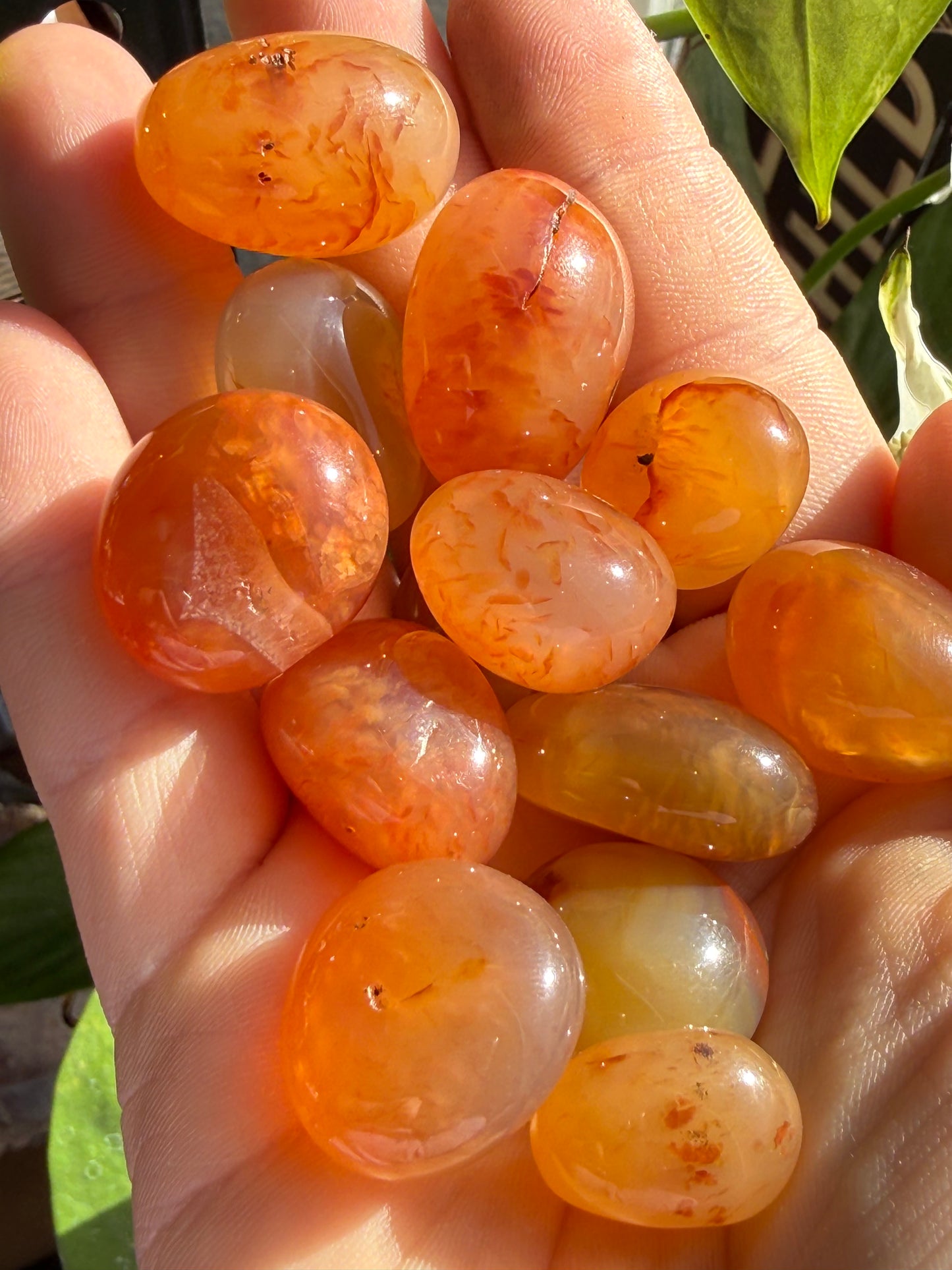 Carnelian Tumbles | Confidence, Creativity & Vital Energy