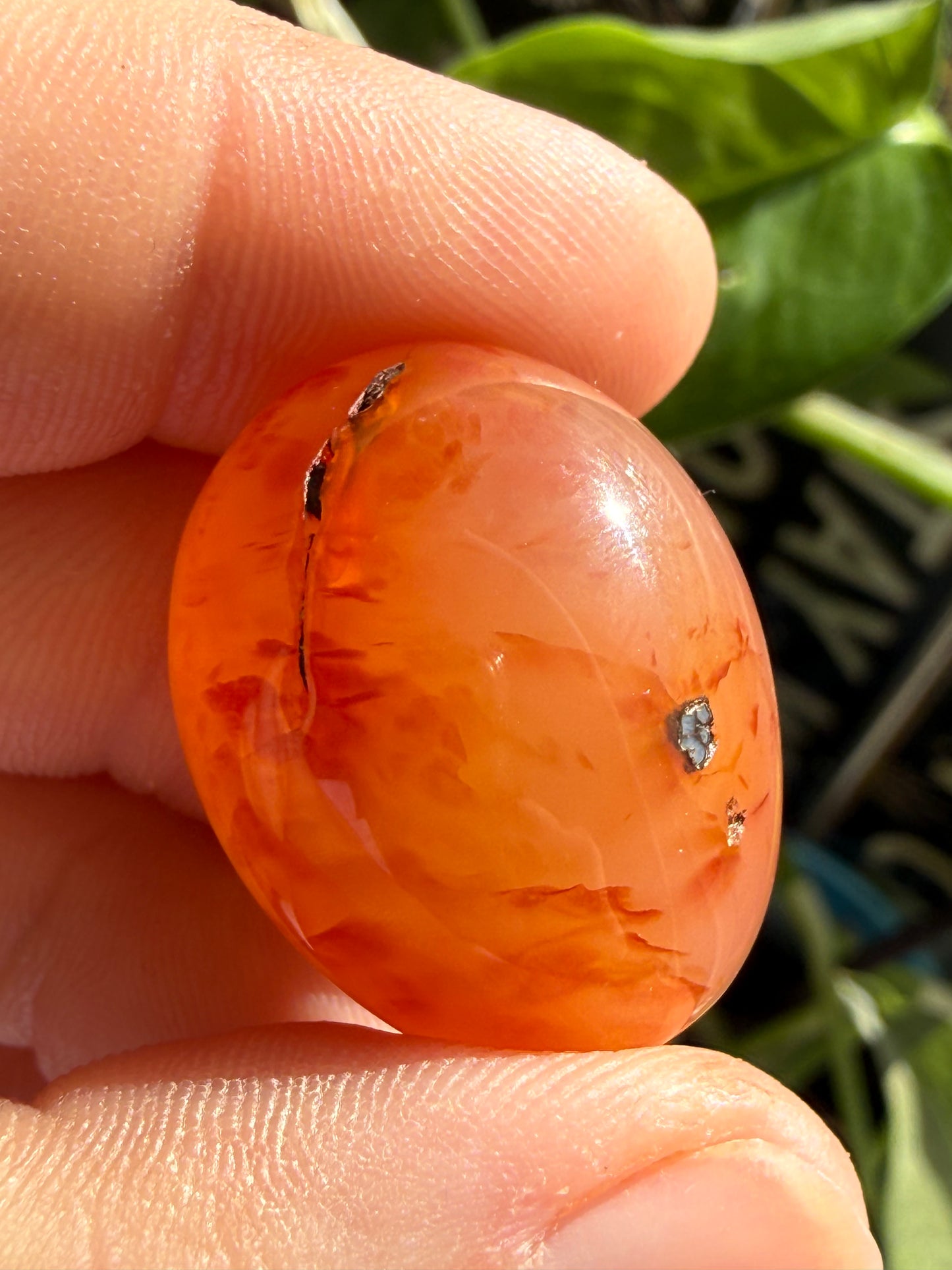 Carnelian Tumbles | Confidence, Creativity & Vital Energy