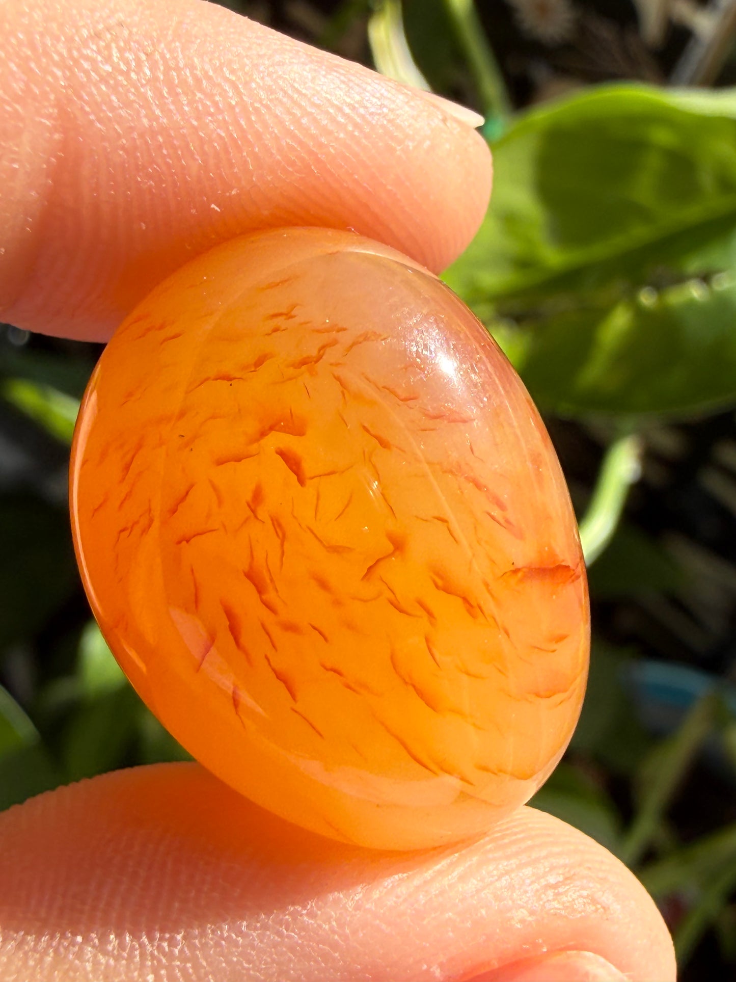 Carnelian Tumbles | Confidence, Creativity & Vital Energy