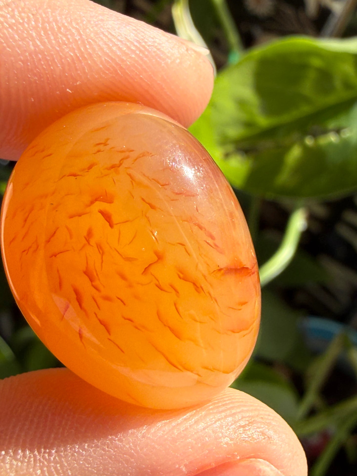 Carnelian Tumbles | Confidence, Creativity & Vital Energy