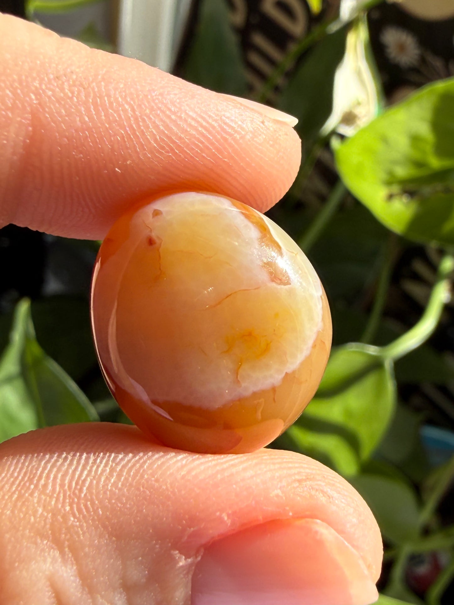 Carnelian Tumbles | Confidence, Creativity & Vital Energy