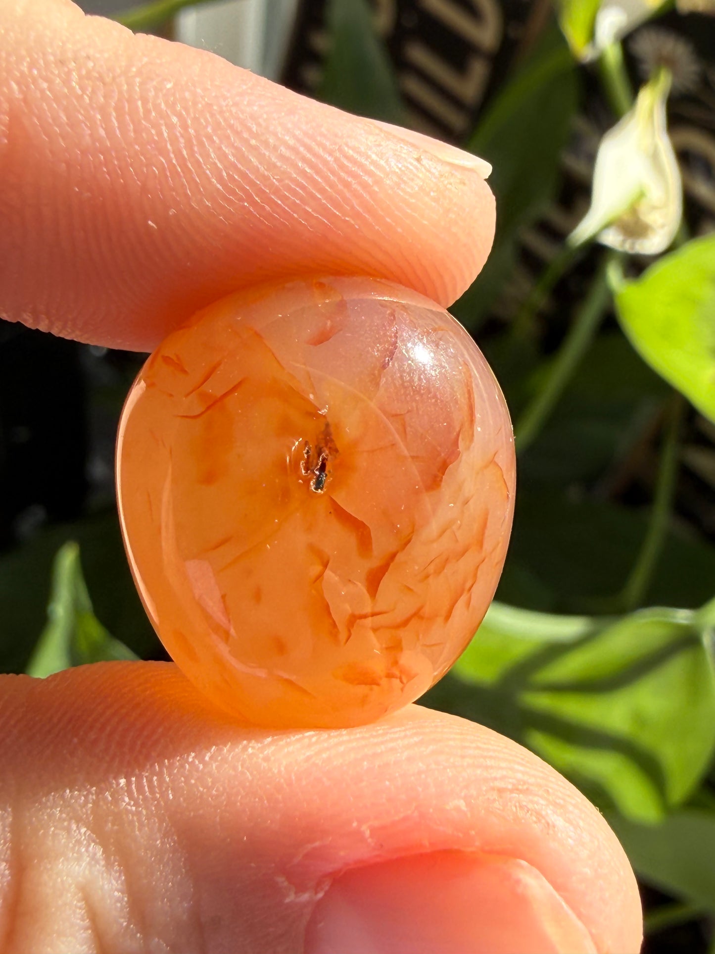 Carnelian Tumbles | Confidence, Creativity & Vital Energy