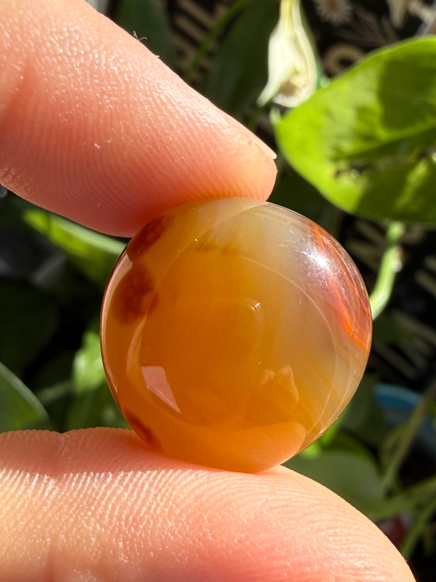 Carnelian Tumbles | Confidence, Creativity & Vital Energy