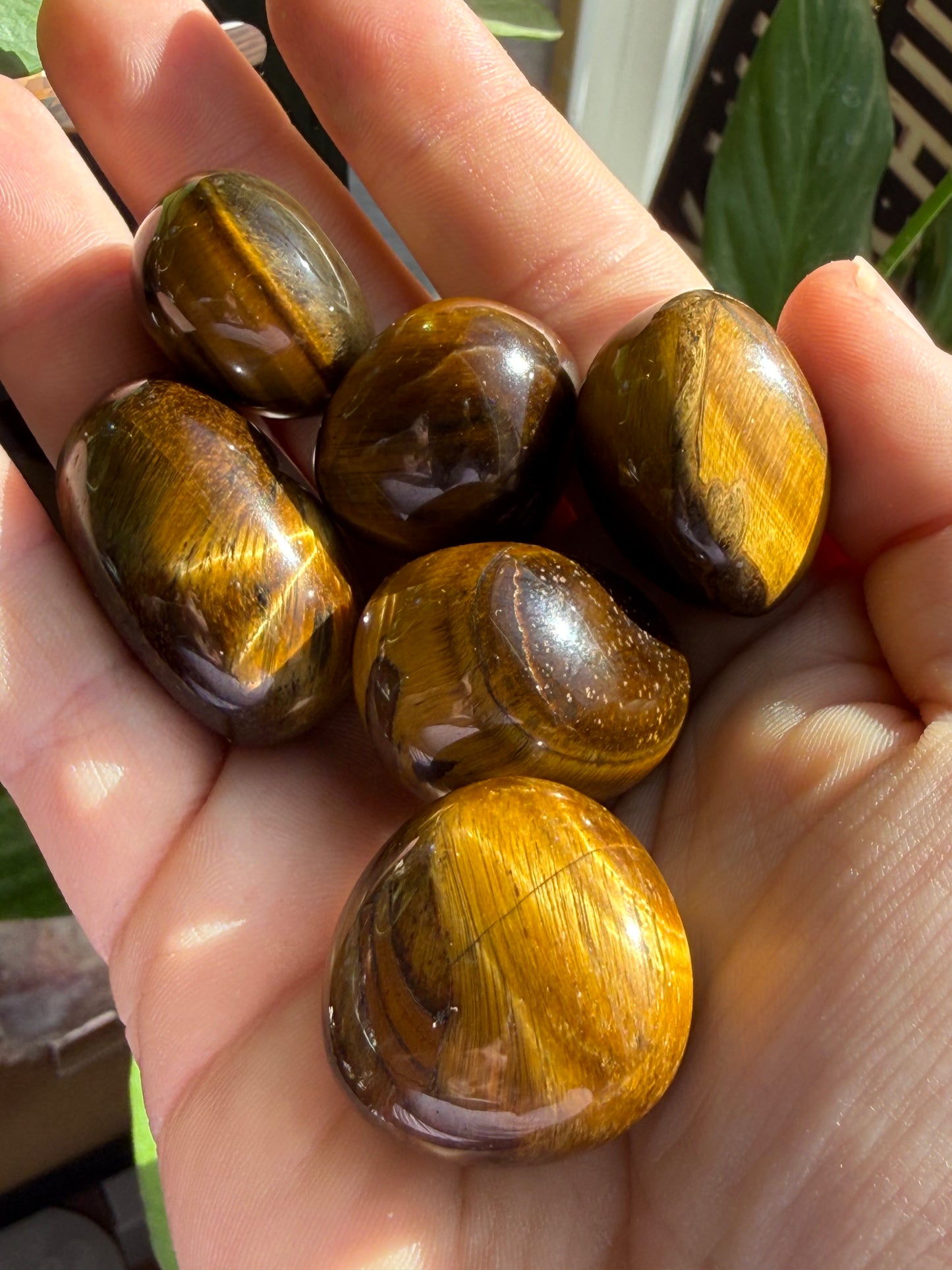 Tiger’s Eye Tumbles | Protection, Confidence & Grounded Strength