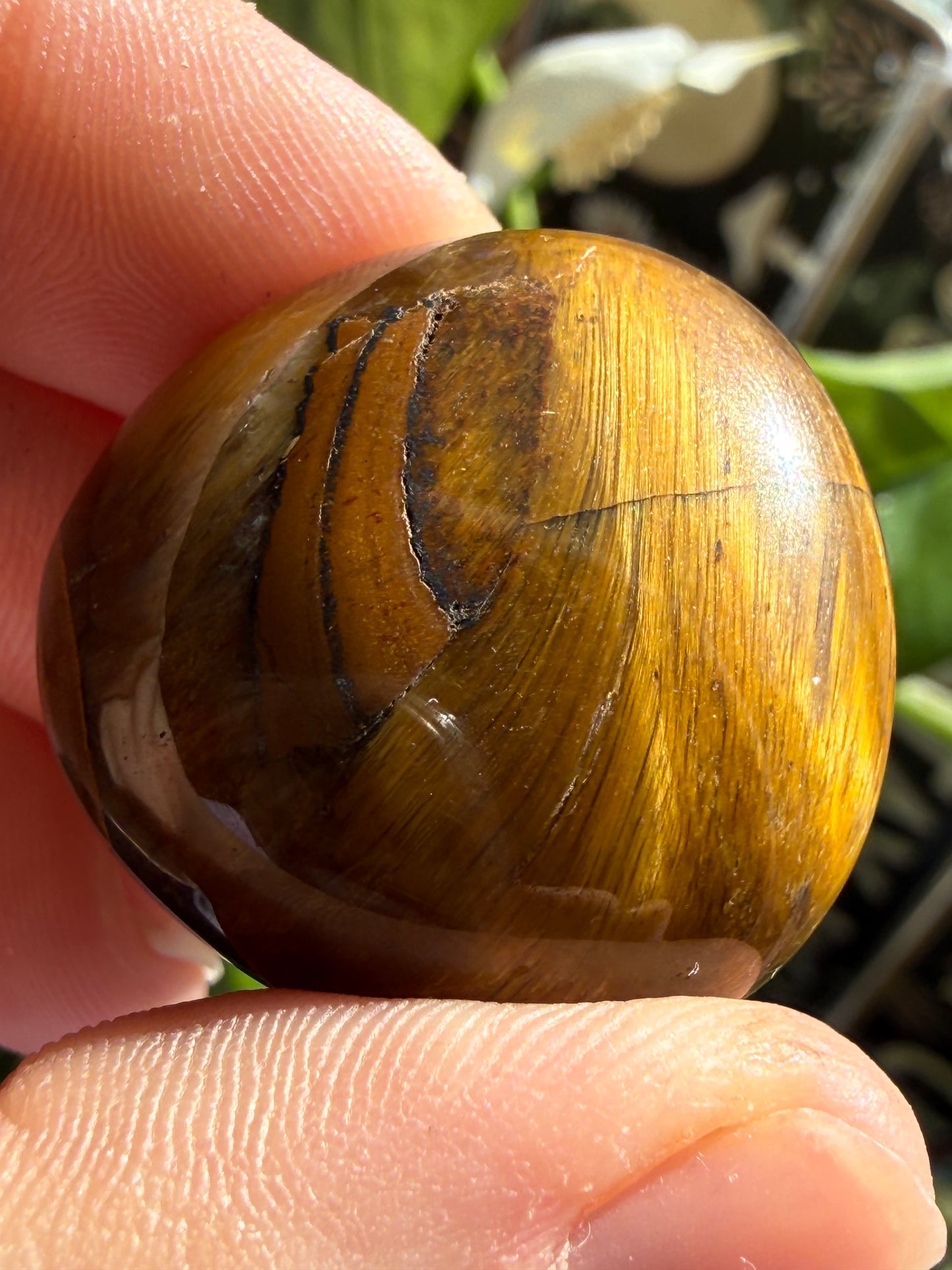 Tiger’s Eye Tumbles | Protection, Confidence & Grounded Strength