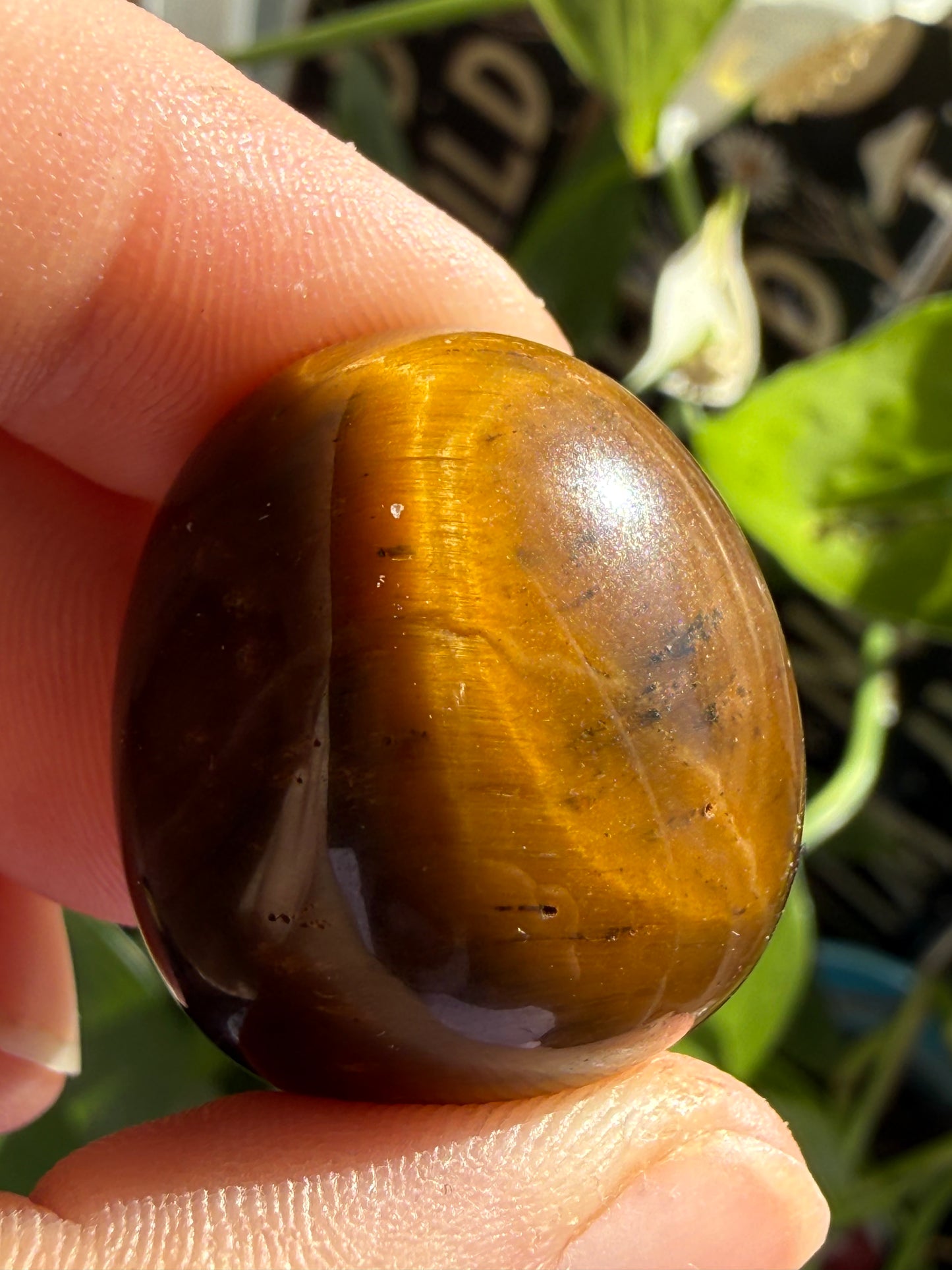 Tiger’s Eye Tumbles | Protection, Confidence & Grounded Strength