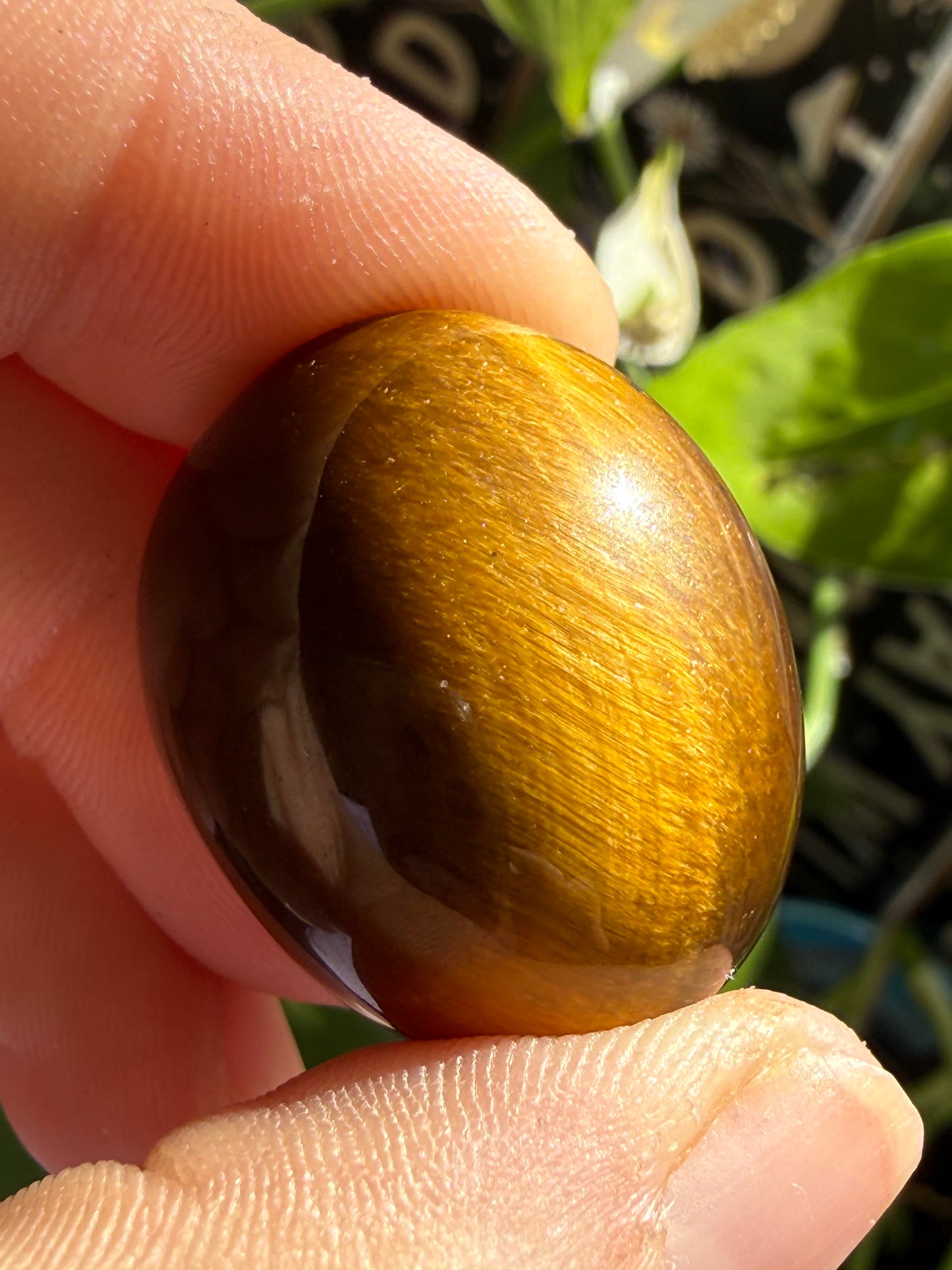 Tiger’s Eye Tumbles | Protection, Confidence & Grounded Strength