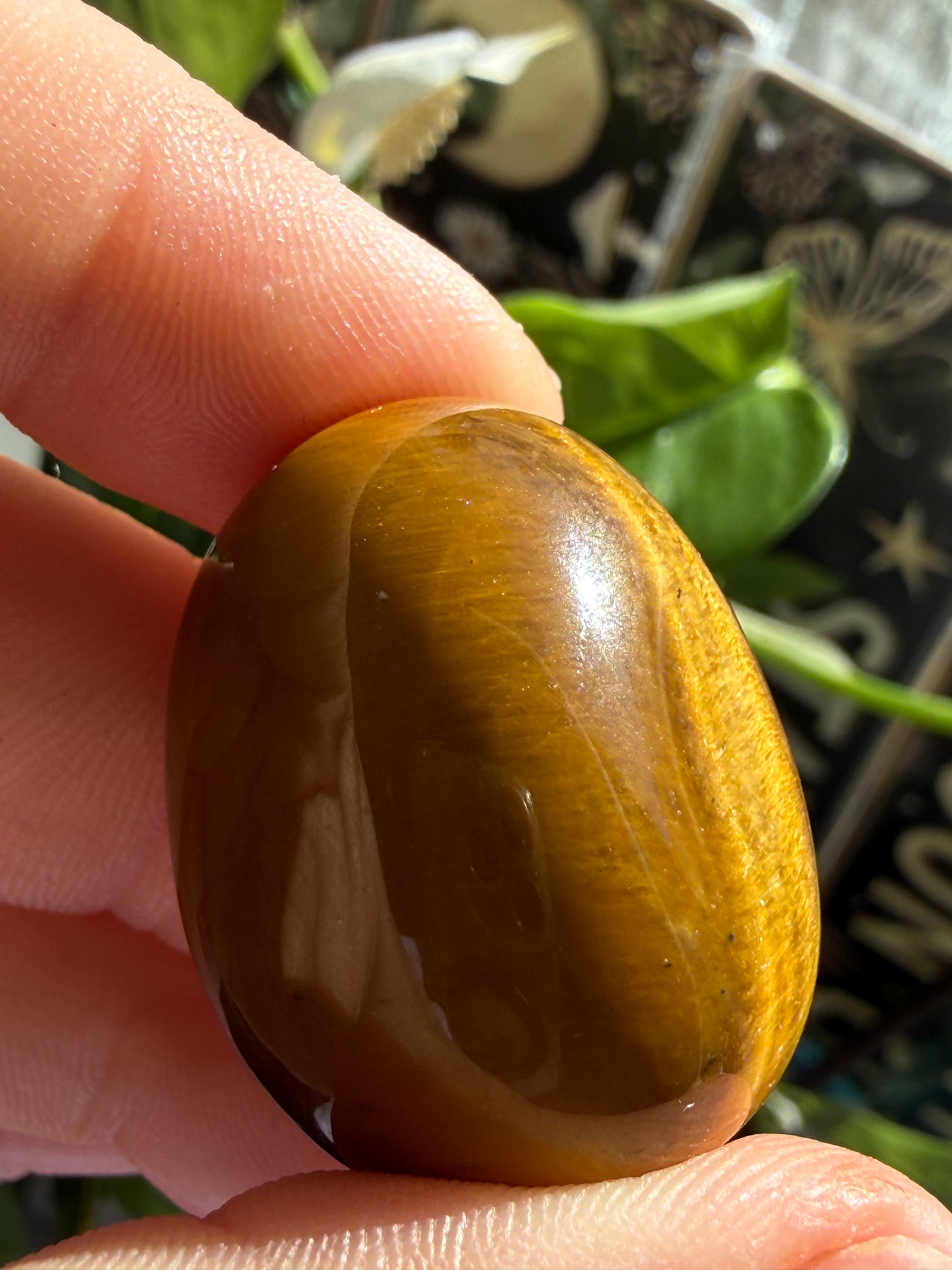 Tiger’s Eye Tumbles | Protection, Confidence & Grounded Strength