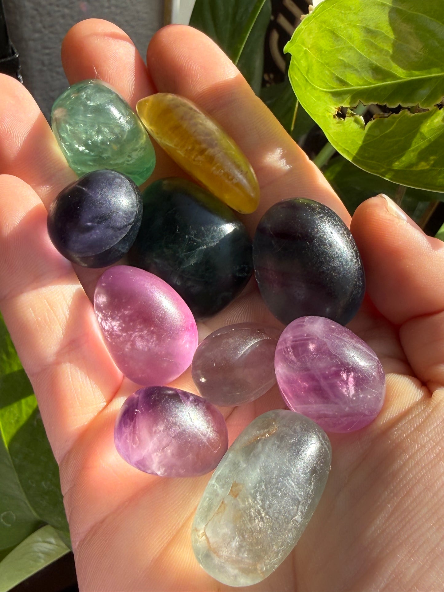 Fluorite Candy Tumbles | Focus, Harmony & Sweet Color Energy