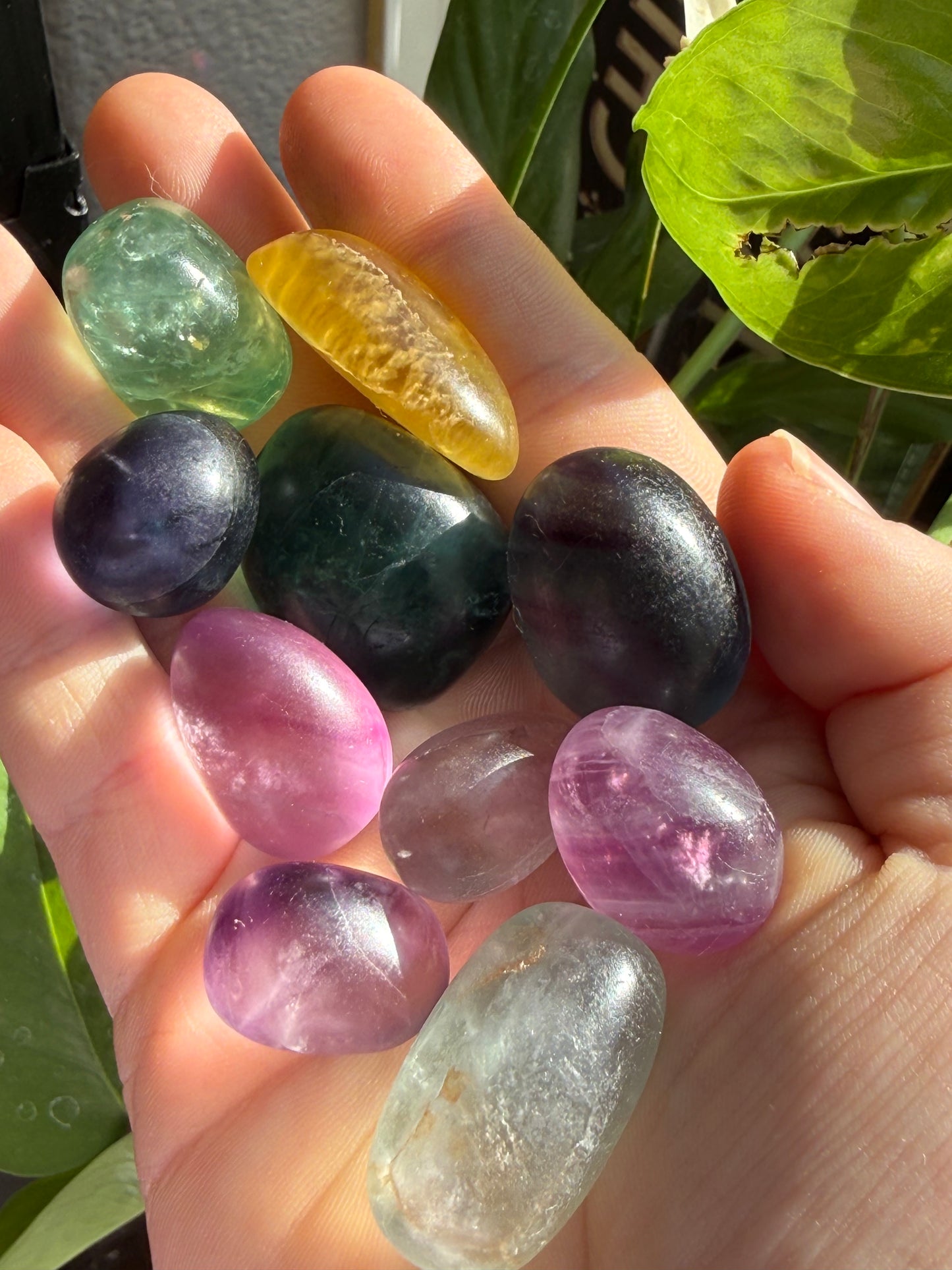 Fluorite Candy Tumbles | Focus, Harmony & Sweet Color Energy