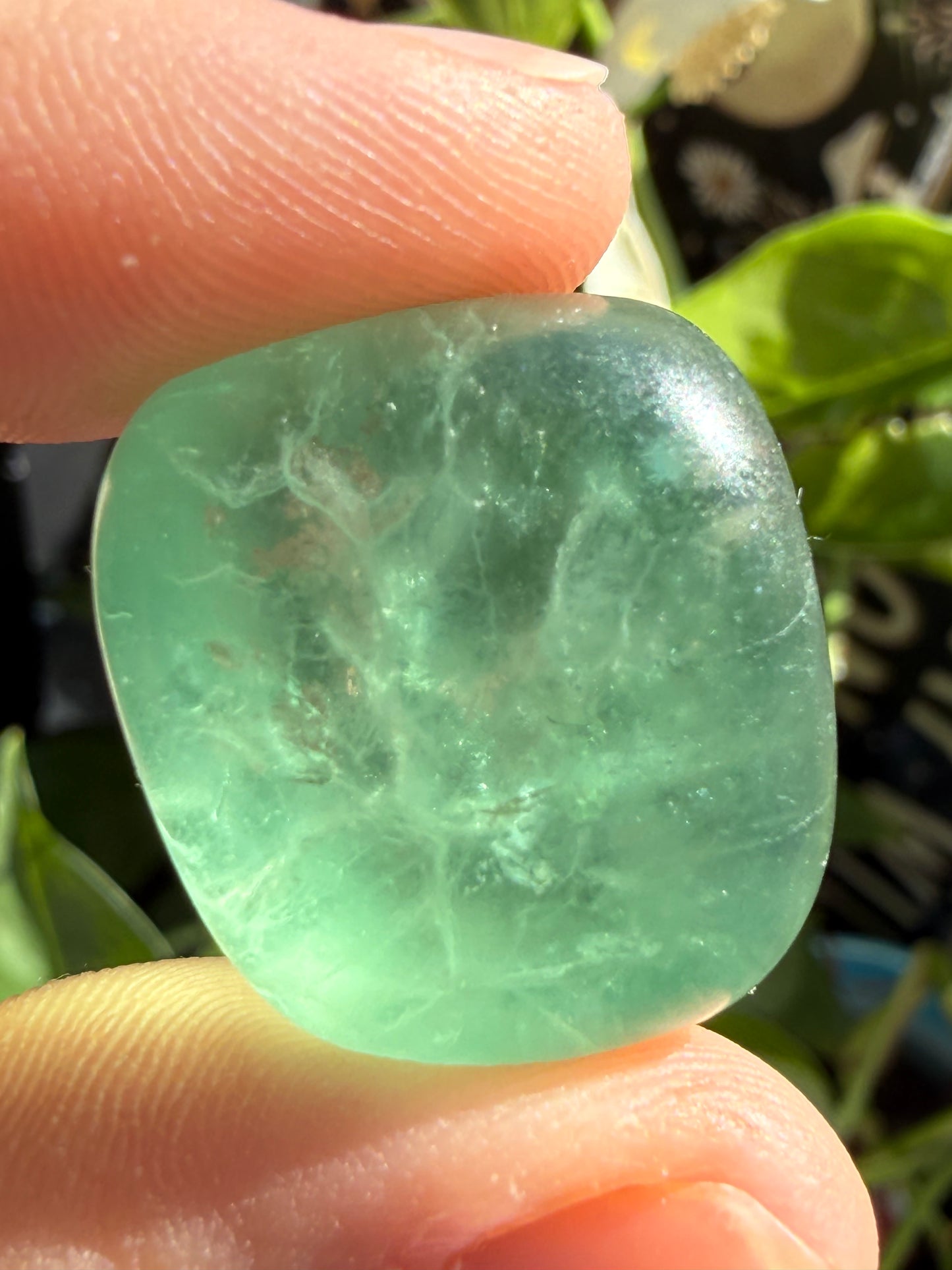 Fluorite Candy Tumbles | Focus, Harmony & Sweet Color Energy