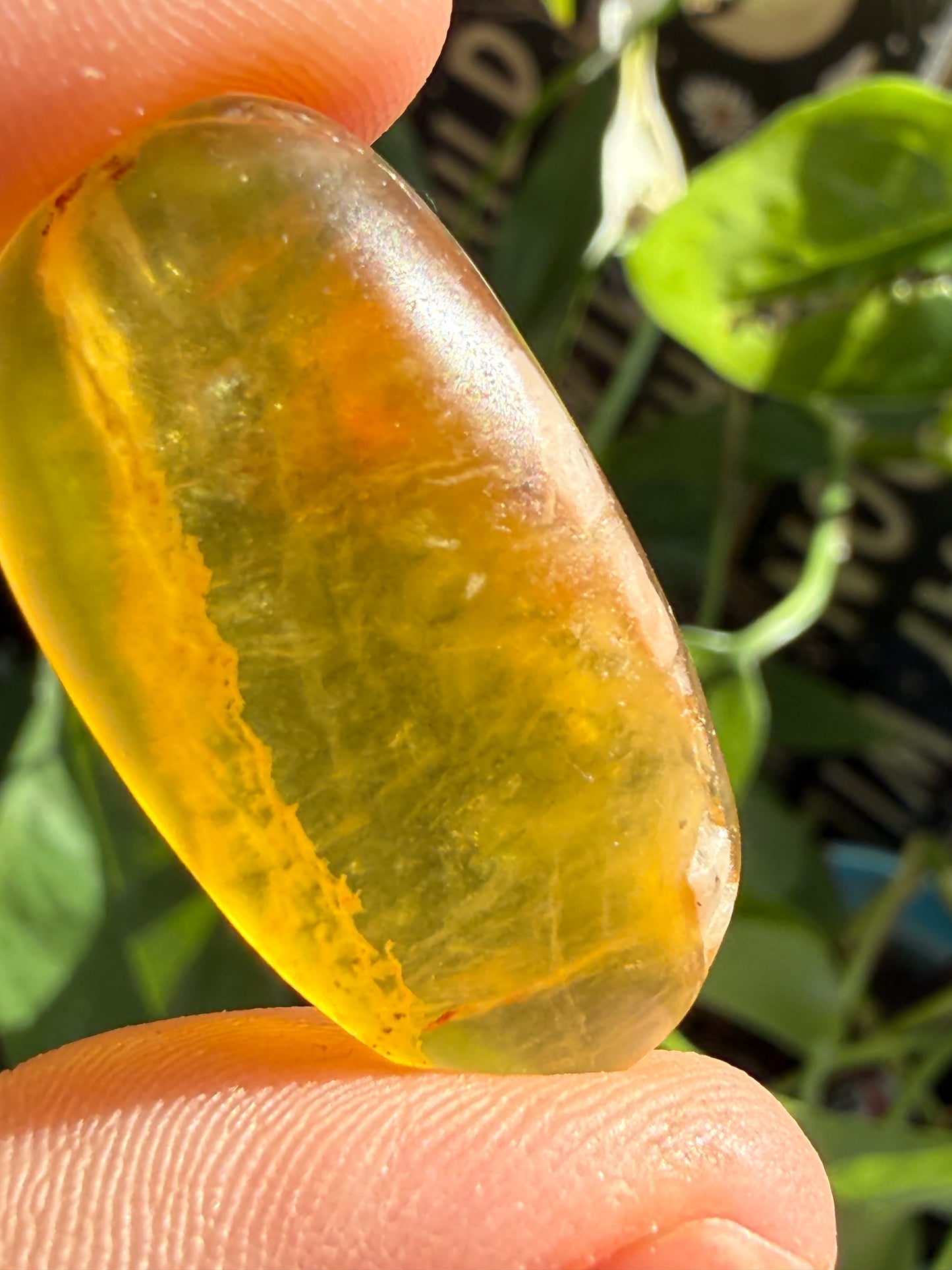 Fluorite Candy Tumbles | Focus, Harmony & Sweet Color Energy