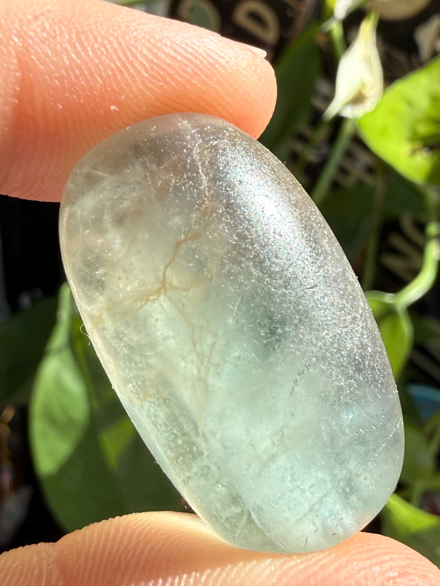 Fluorite Candy Tumbles | Focus, Harmony & Sweet Color Energy