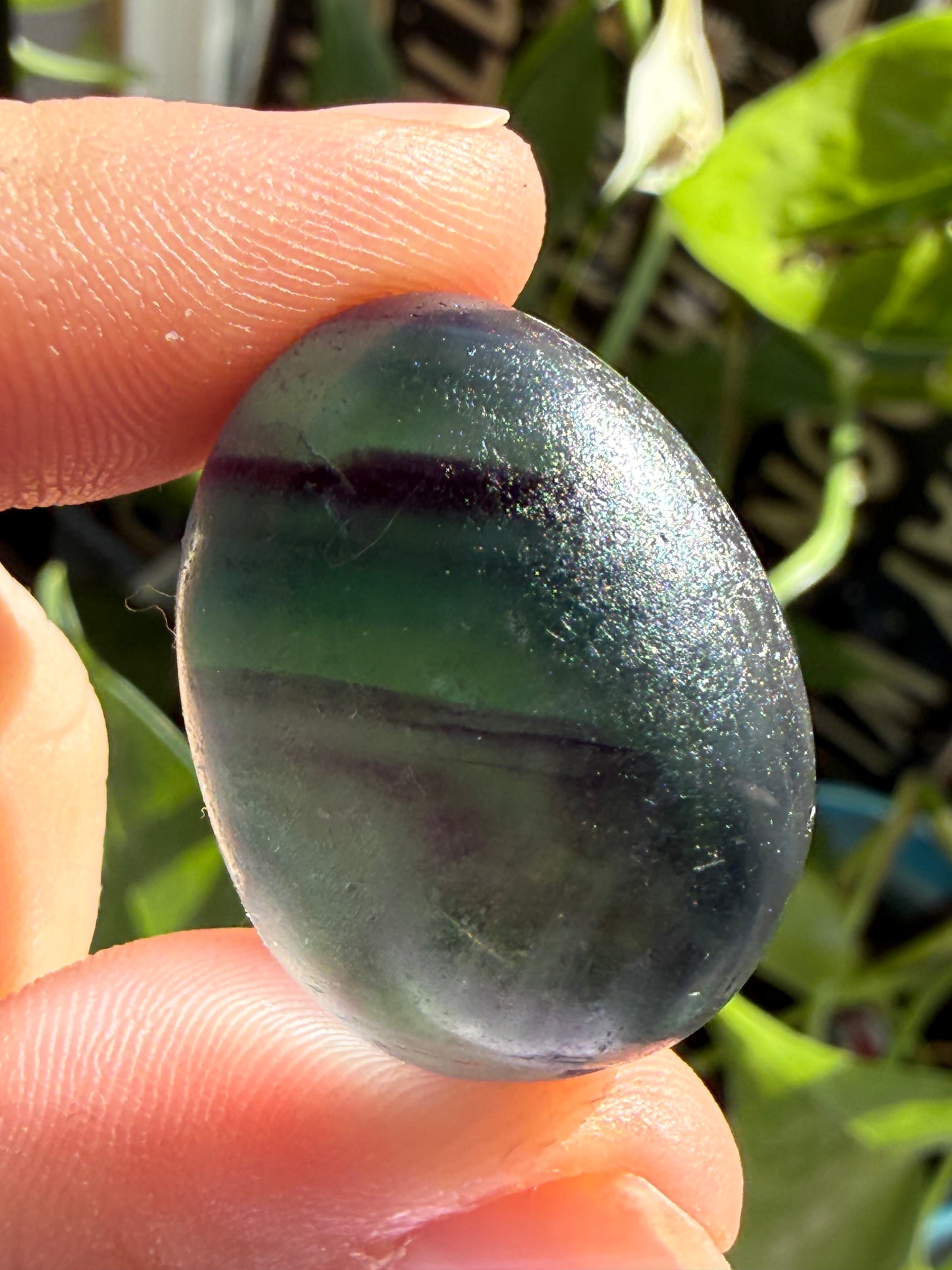 Fluorite Candy Tumbles | Focus, Harmony & Sweet Color Energy