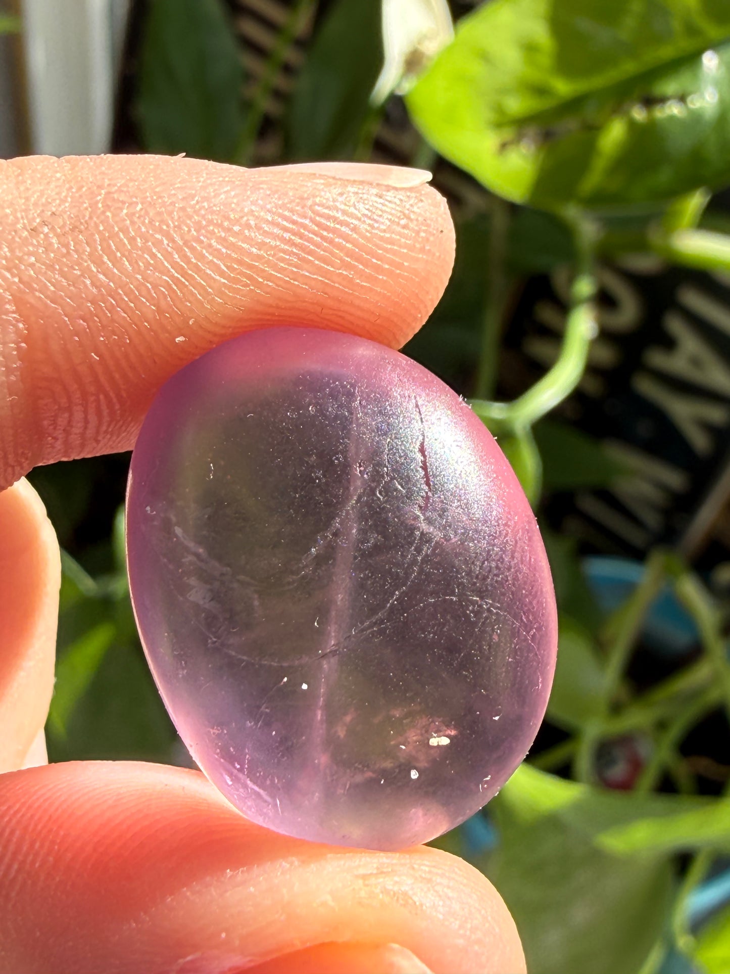 Fluorite Candy Tumbles | Focus, Harmony & Sweet Color Energy