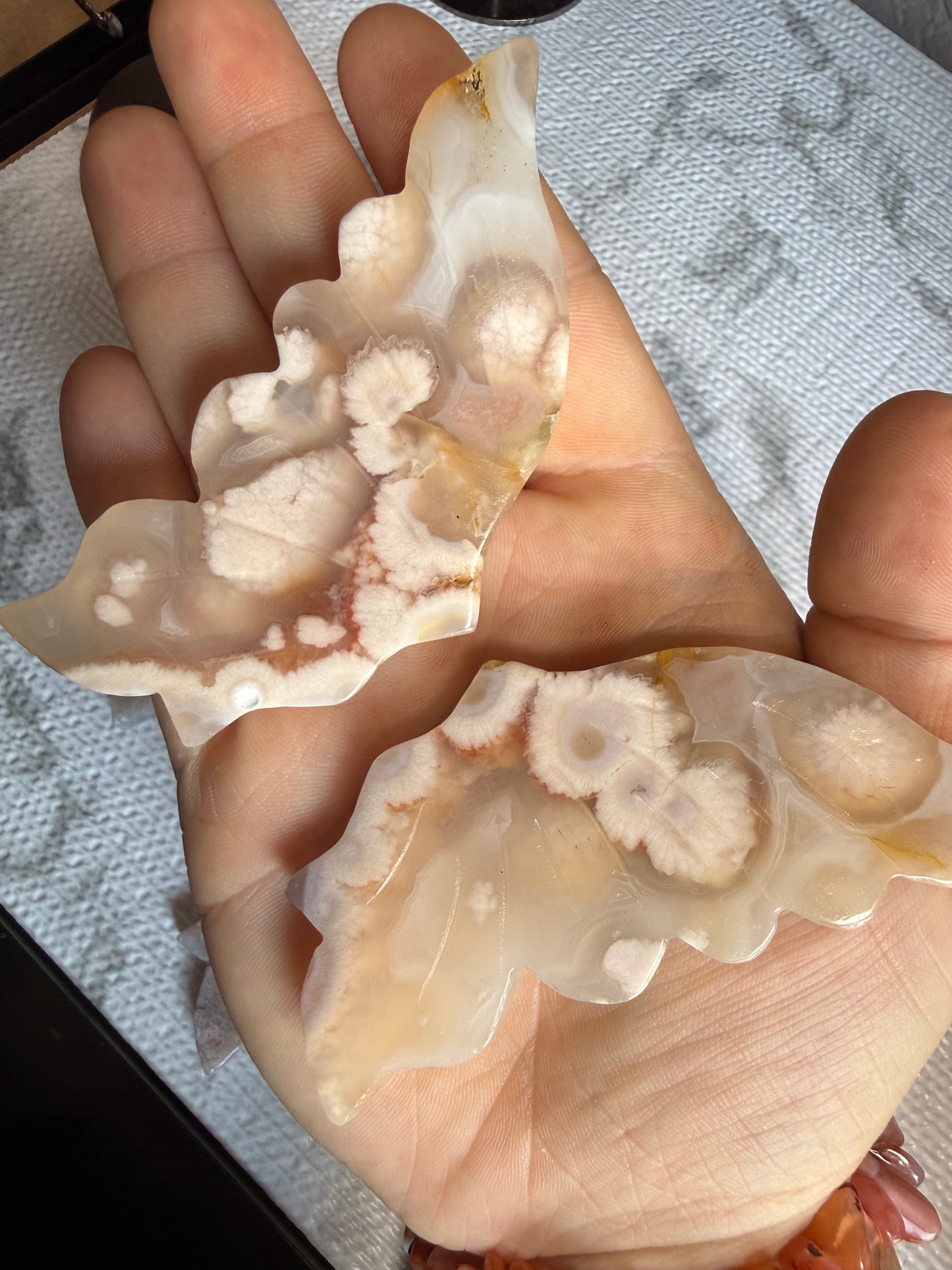 Flower Agate Butterfly on Stand — Blooming Energy • Emotional Growth • Gentle Transformation