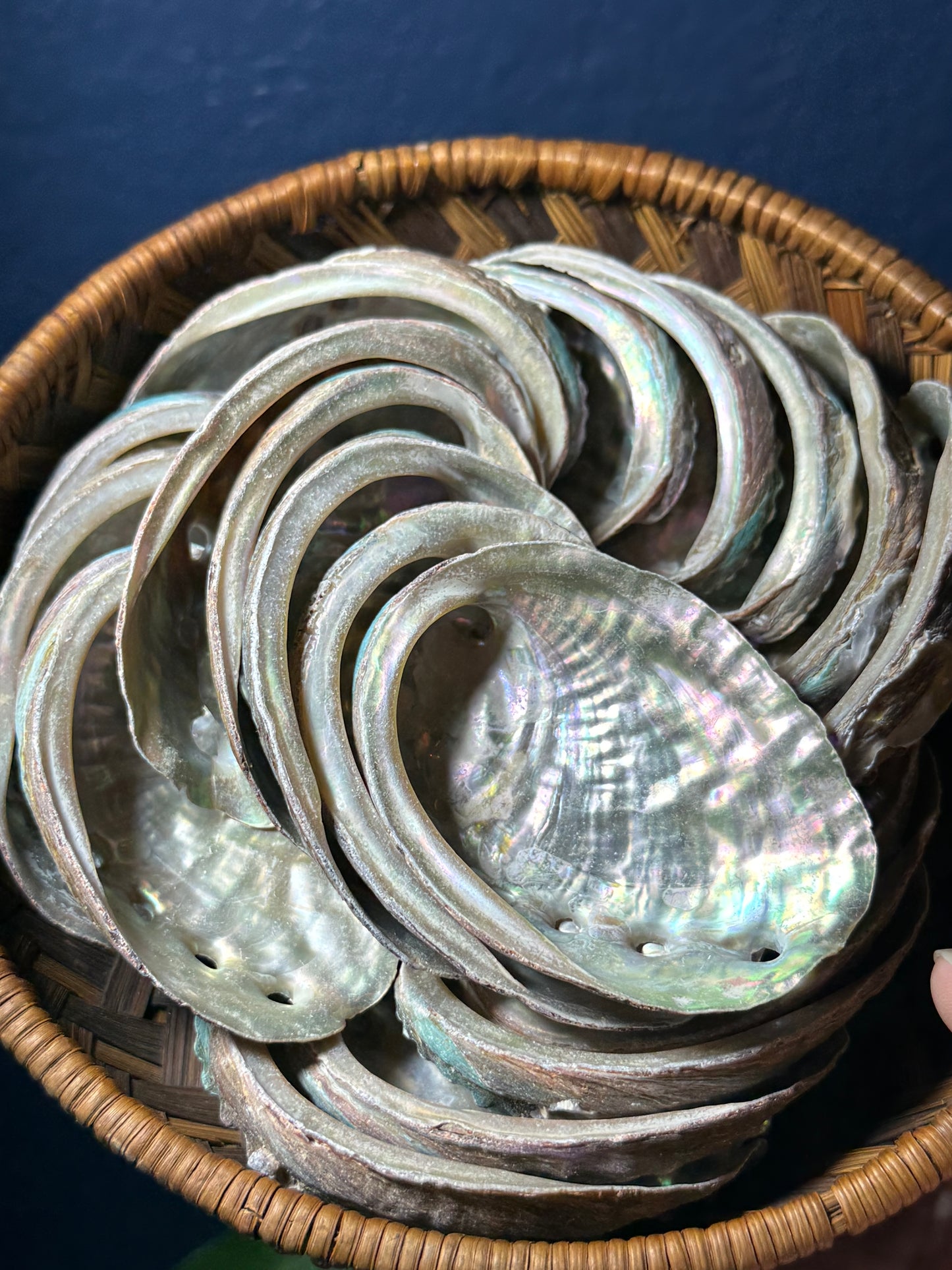 Abalone Shell Smudge Dish Collection — Ocean‑Born Cleansing Bowls for Ritual & Smoke Work