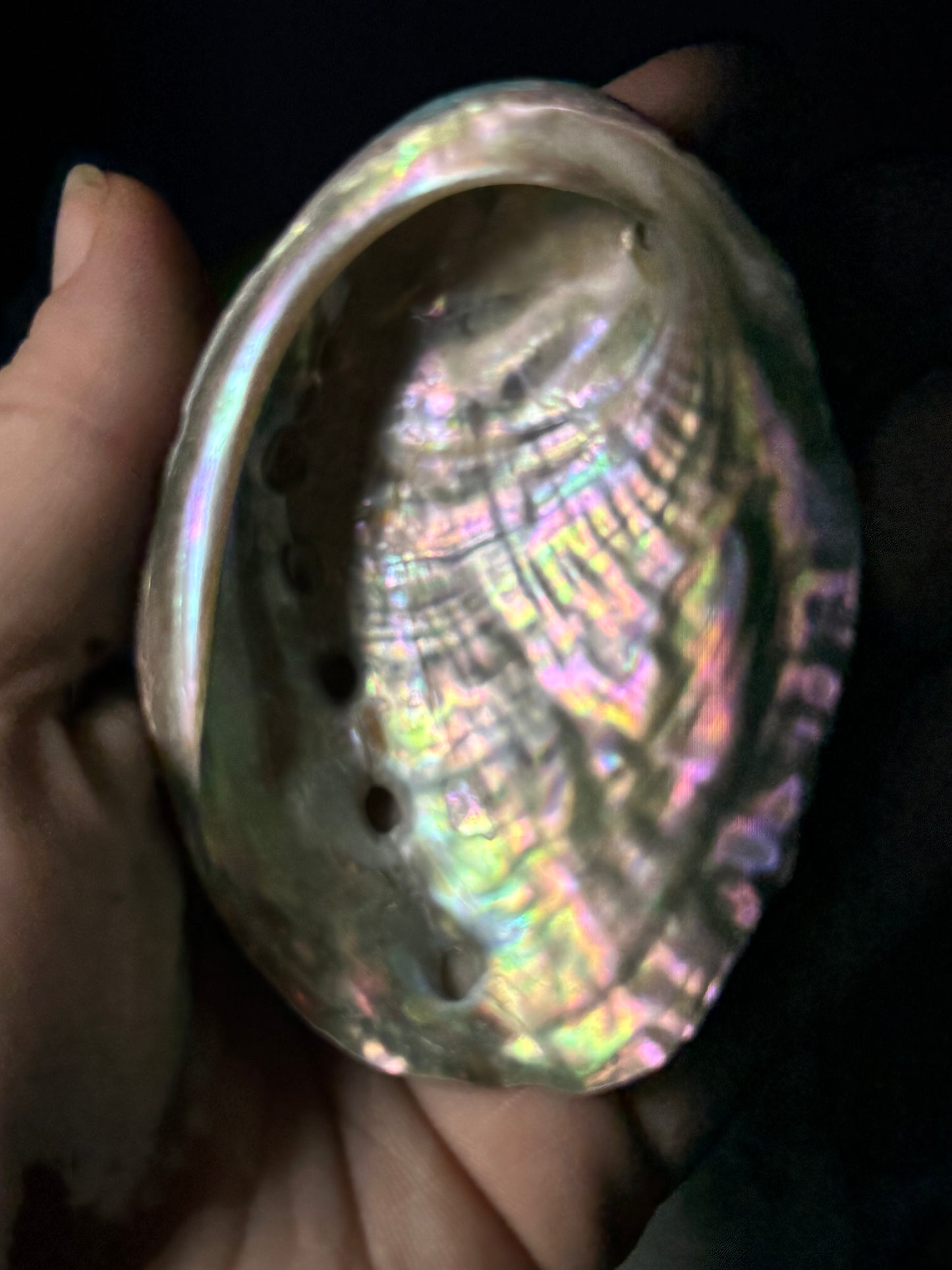 Abalone Shell Smudge Dish Collection — Ocean‑Born Cleansing Bowls for Ritual & Smoke Work