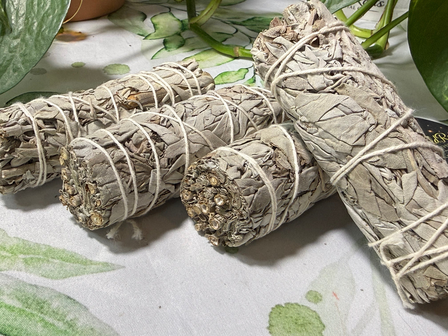 White Sage Smudge Bundle | Cleansing & Energy Clearing